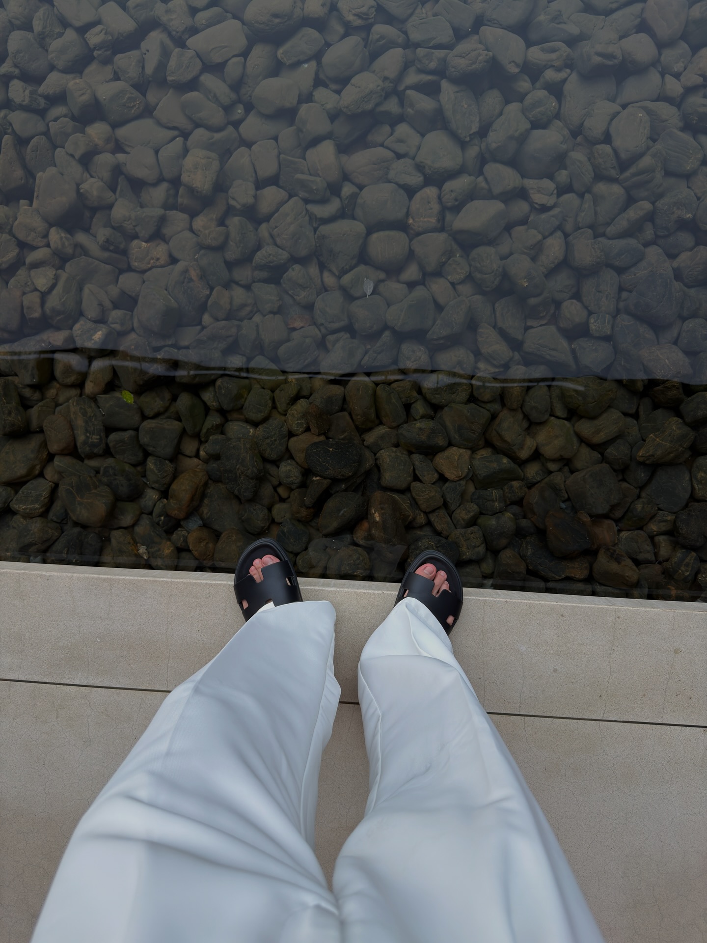 เอส - ศุภ สง่าวรวงศ์