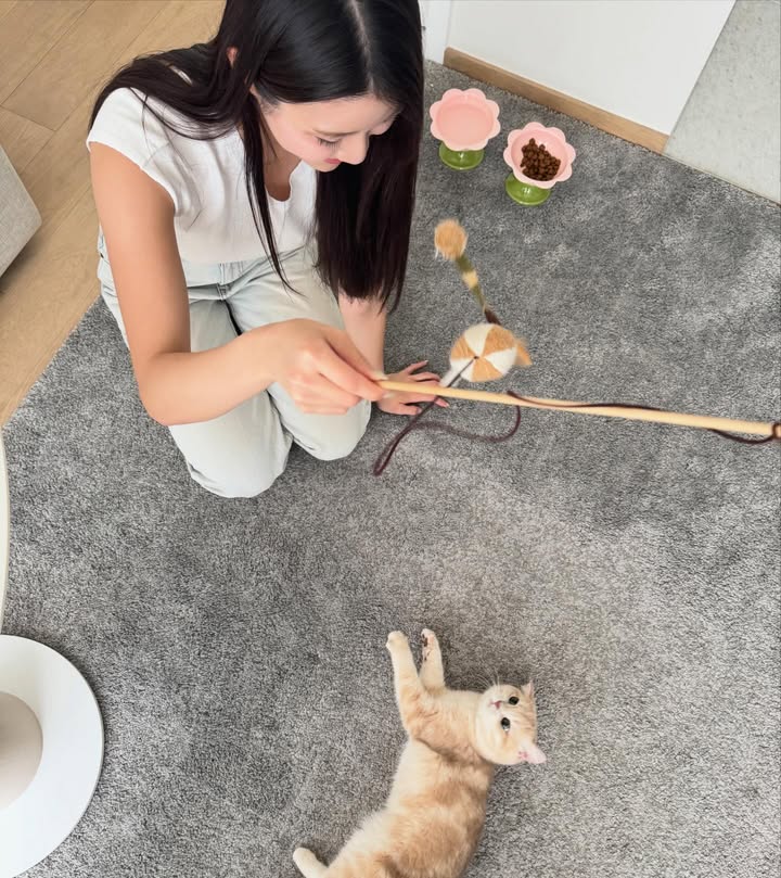 เจน่า - แองเจลิน่า สตีเวนส์