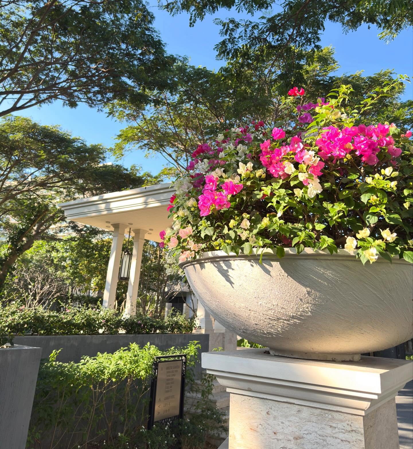 เจน่า - แองเจลิน่า สตีเวนส์