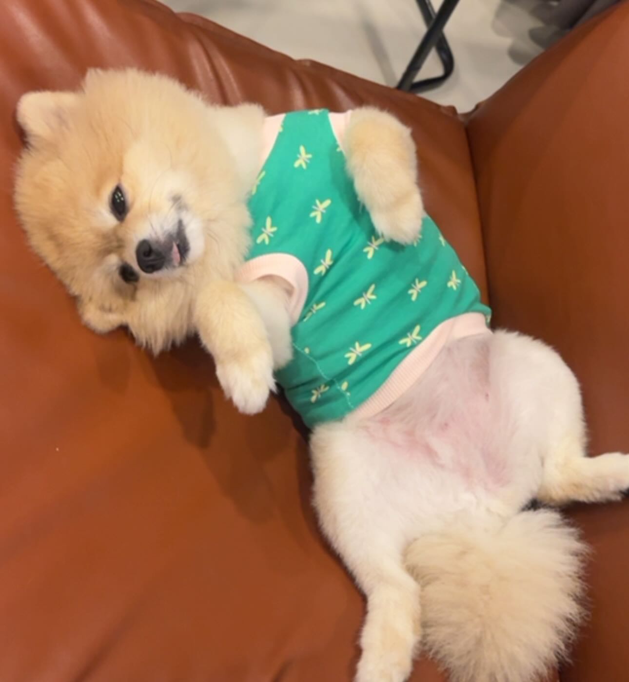 เจน่า - แองเจลิน่า สตีเวนส์