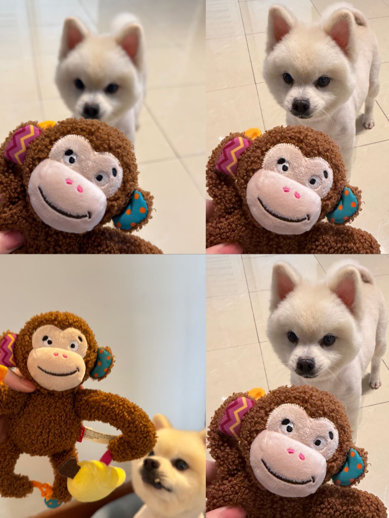 เจน่า - แองเจลิน่า สตีเวนส์