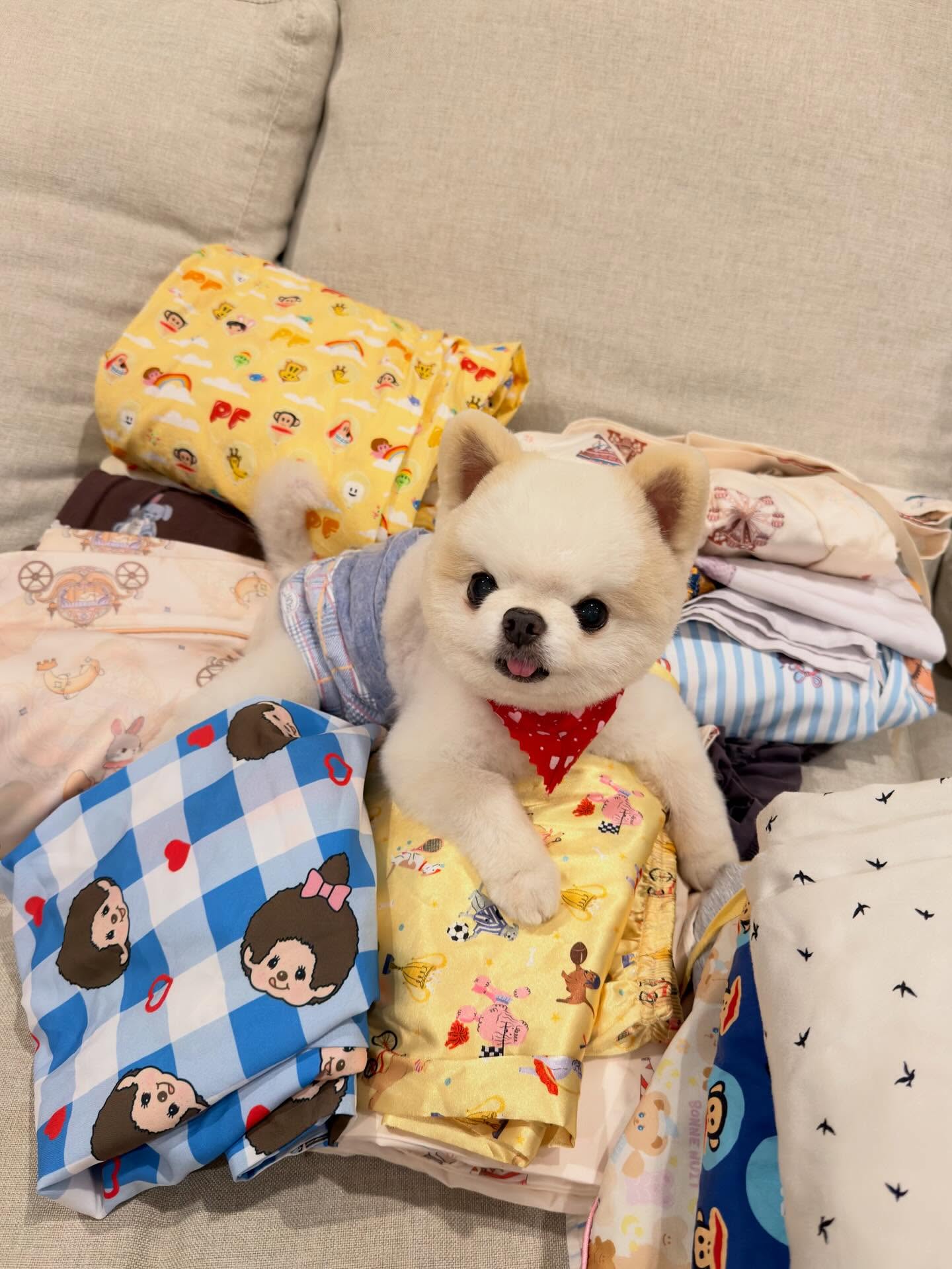 เจน่า - แองเจลิน่า สตีเวนส์