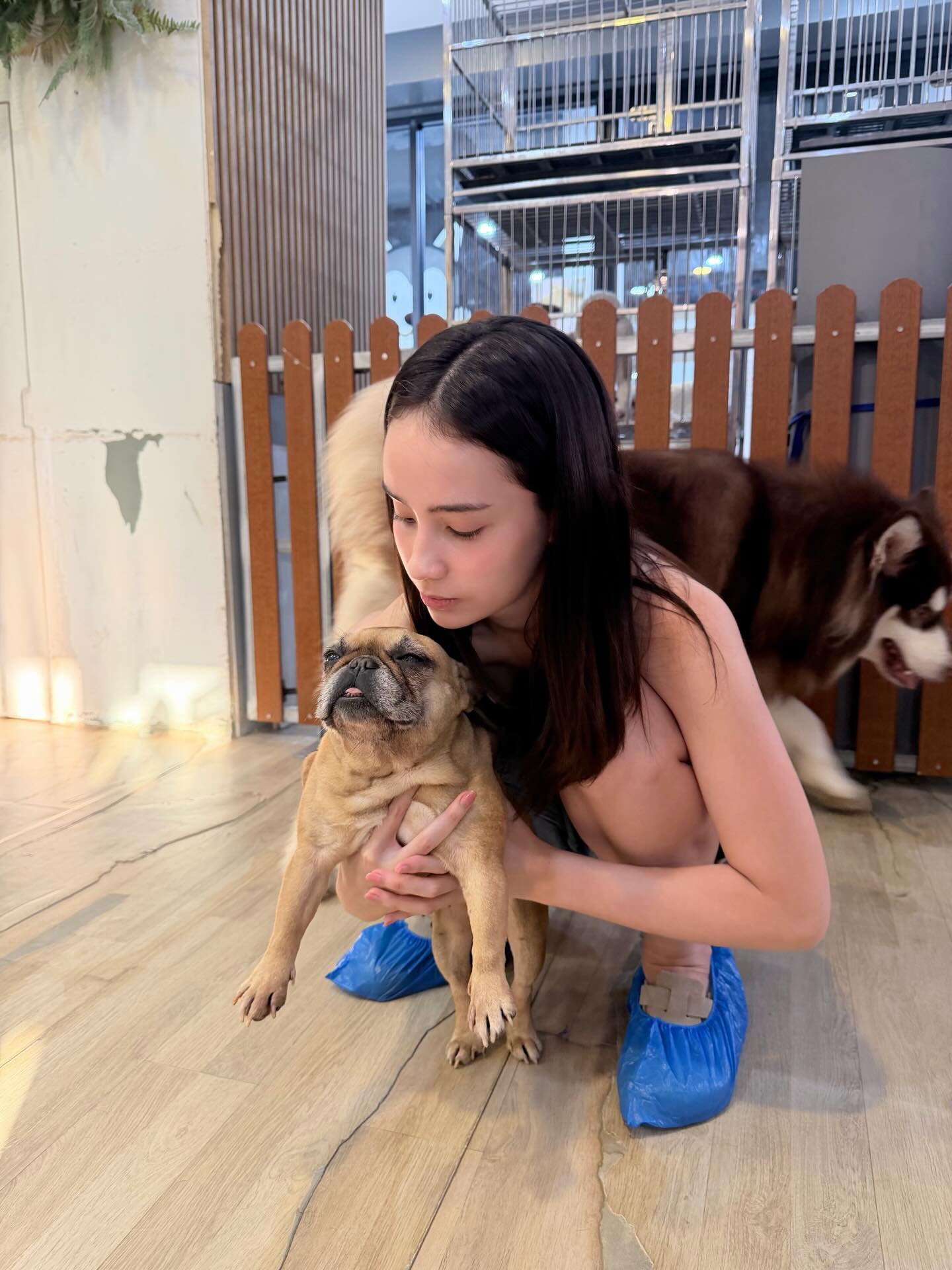 เจน่า - แองเจลิน่า สตีเวนส์