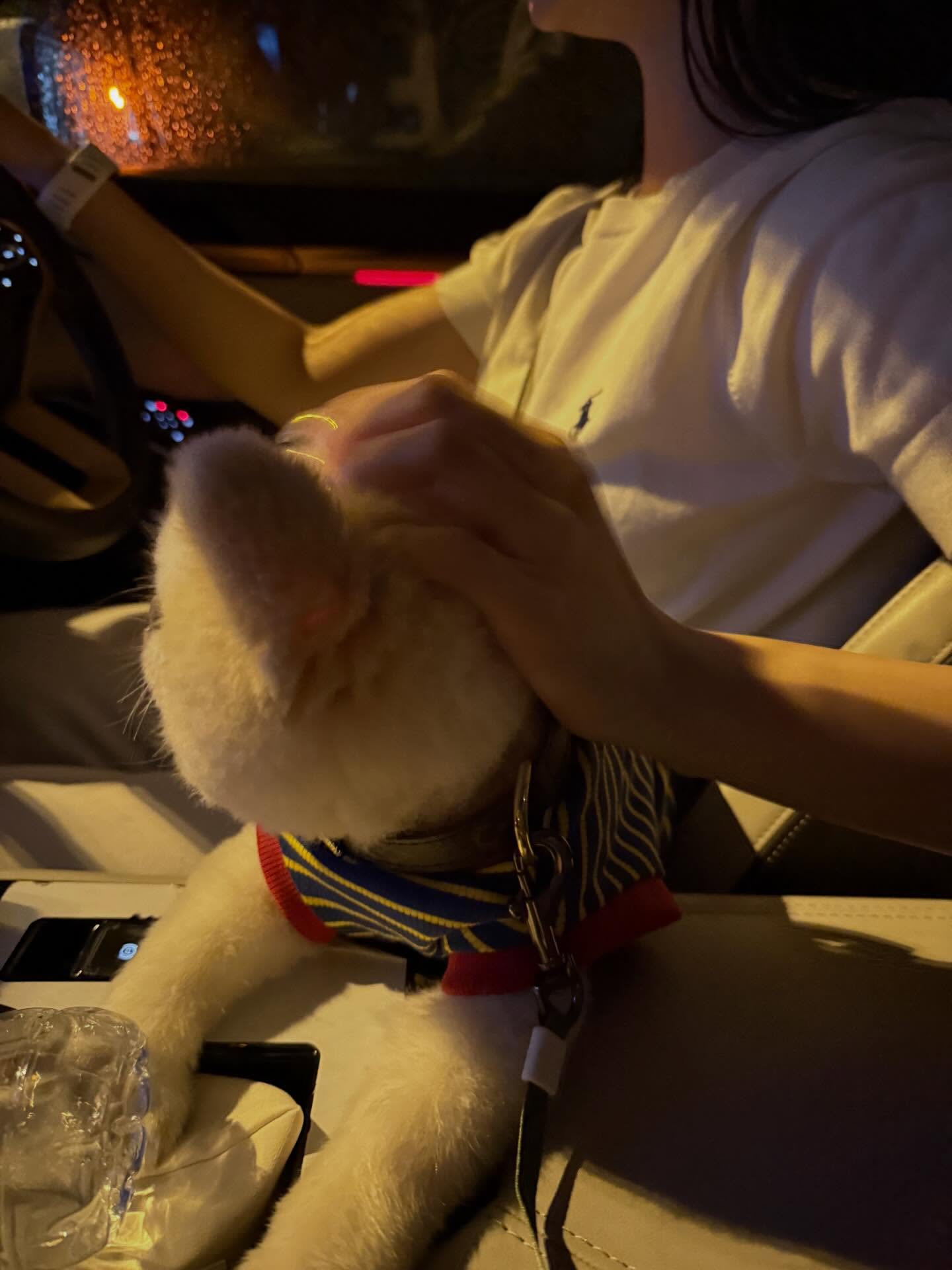 เจน่า - แองเจลิน่า สตีเวนส์