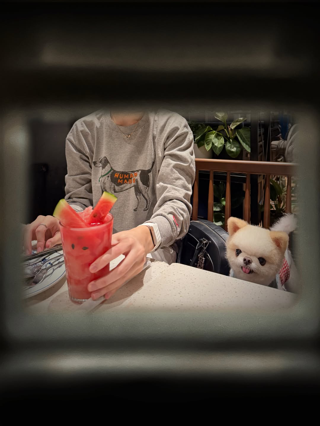 เจน่า - แองเจลิน่า สตีเวนส์