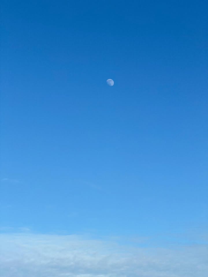 บูม - กฤตภัค อุดมพานิช