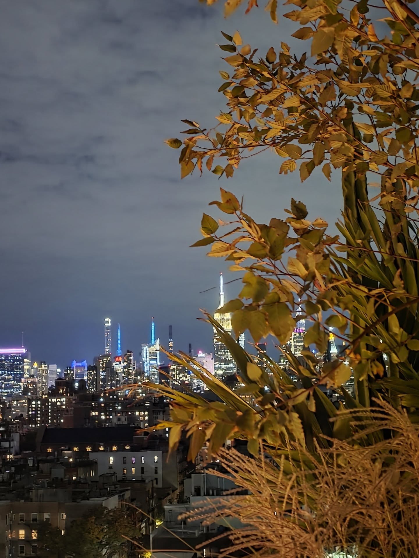 ลูกเกด - เมทินี กิ่งโพยม