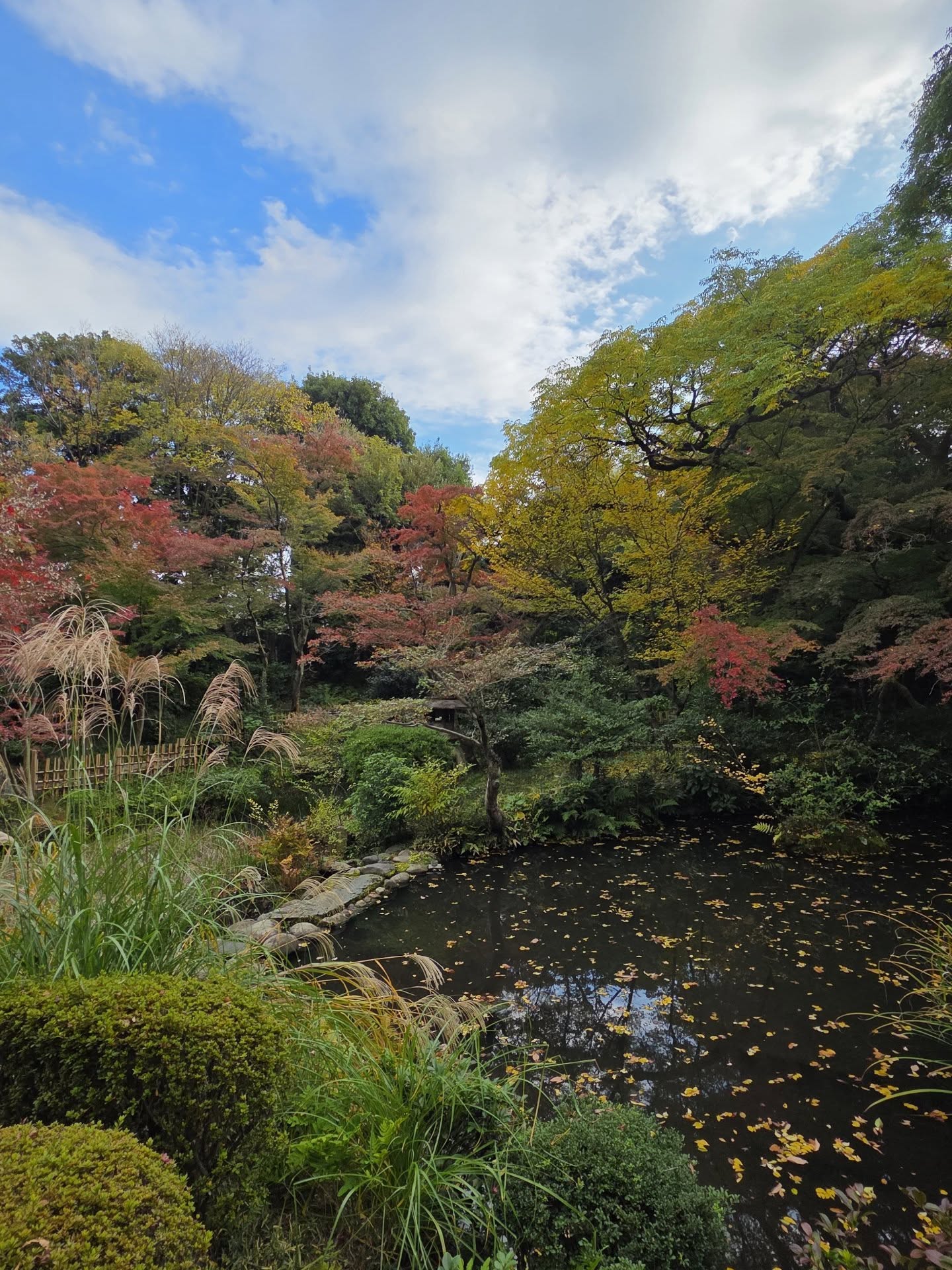 ลูกเกด - เมทินี กิ่งโพยม