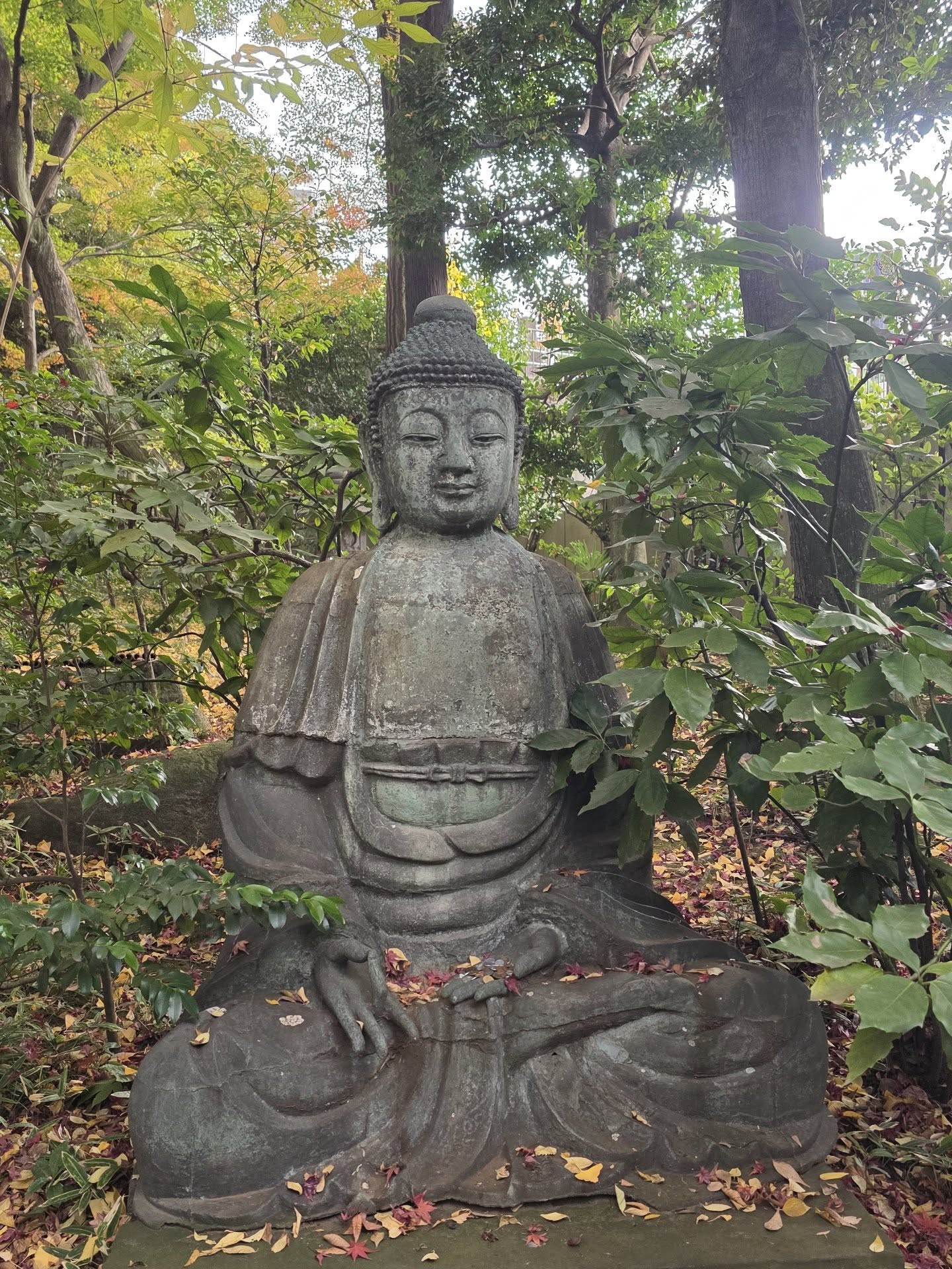 ลูกเกด - เมทินี กิ่งโพยม