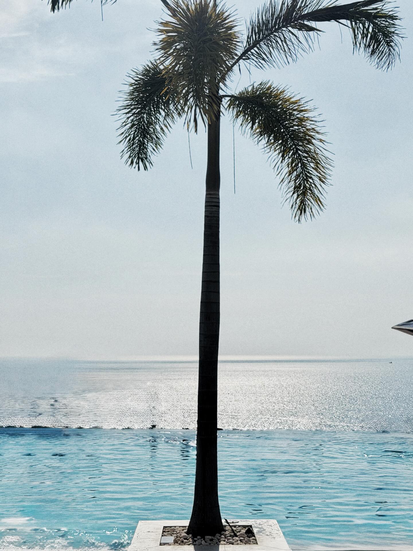 ลูกเกด - เมทินี กิ่งโพยม