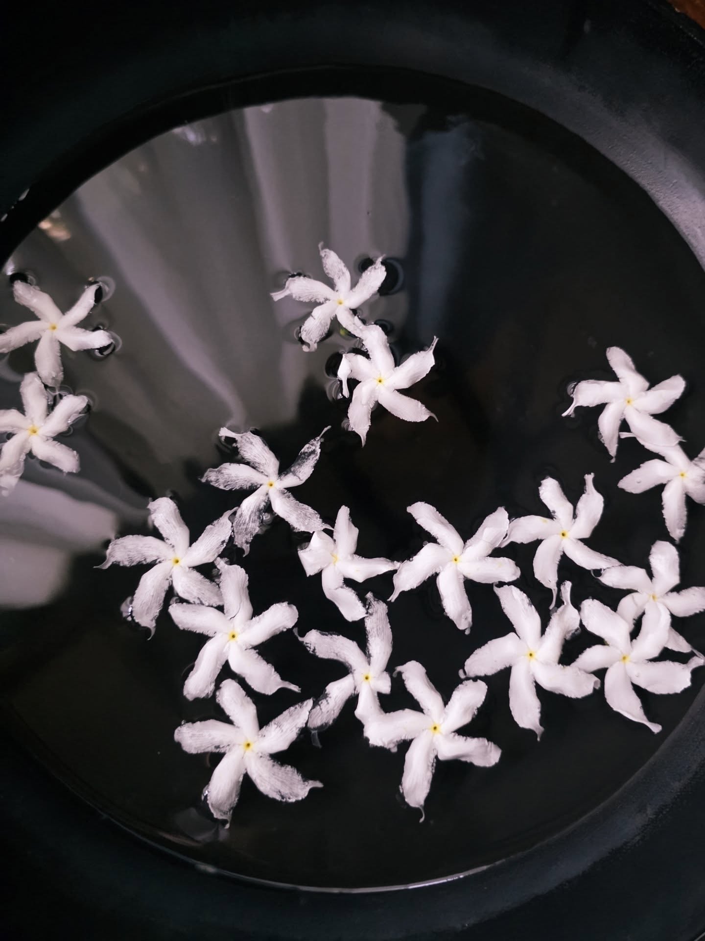 ลูกเกด - เมทินี กิ่งโพยม