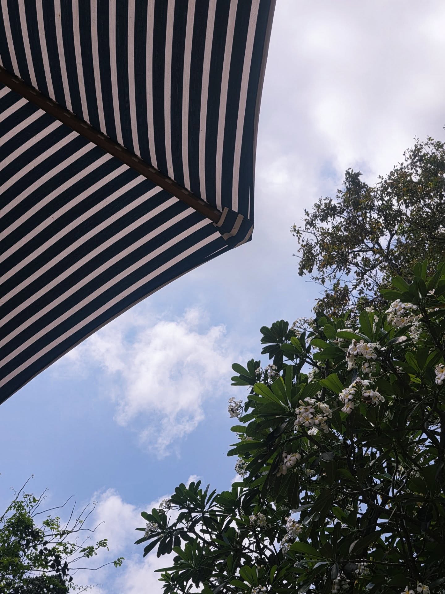 ลูกเกด - เมทินี กิ่งโพยม