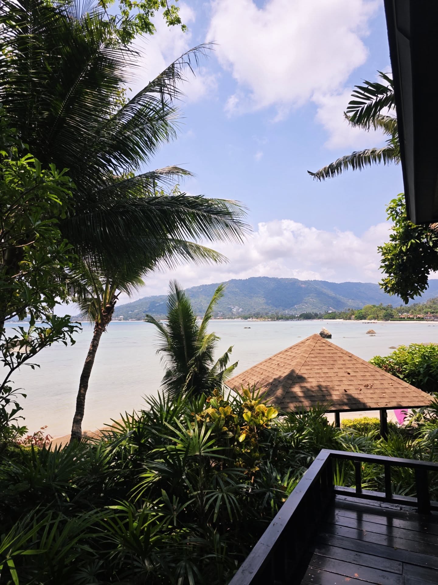 ลูกเกด - เมทินี กิ่งโพยม