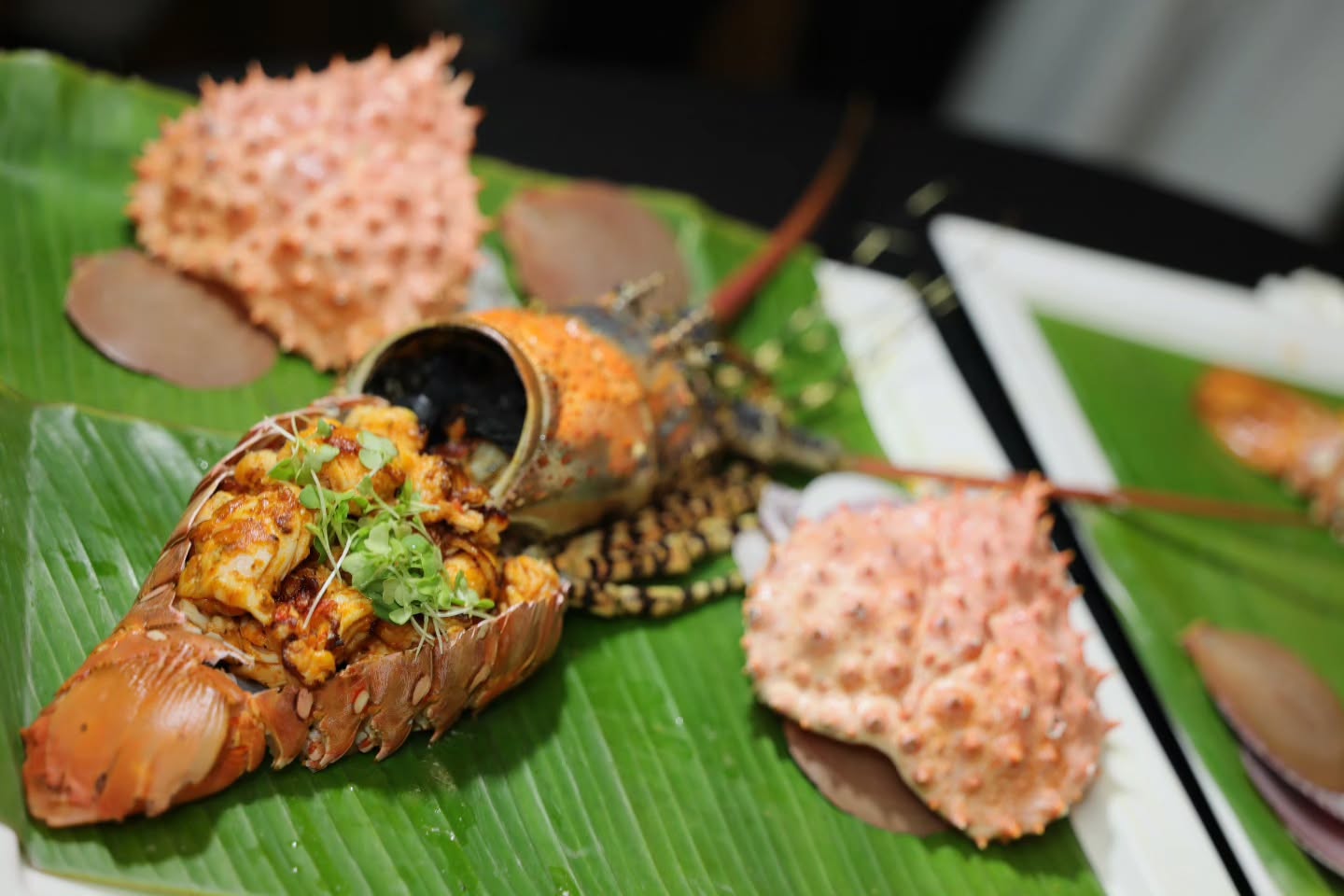 ลูกเกด - เมทินี กิ่งโพยม