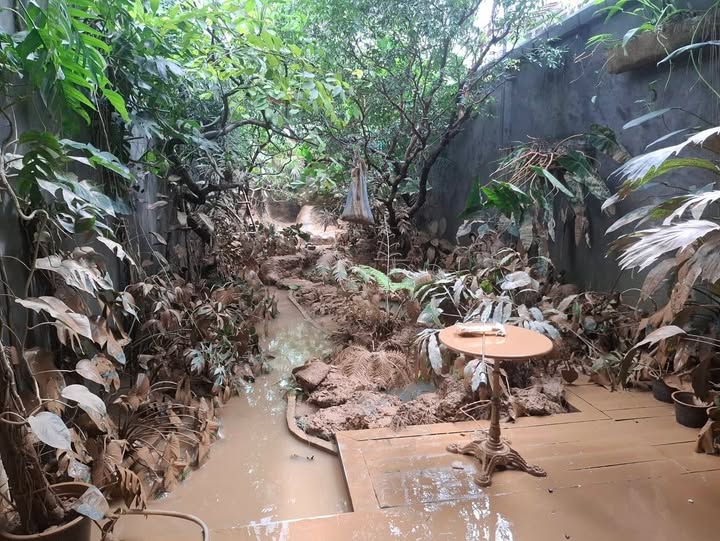 เคน - ภูภูมิ พงศ์ภาณุ