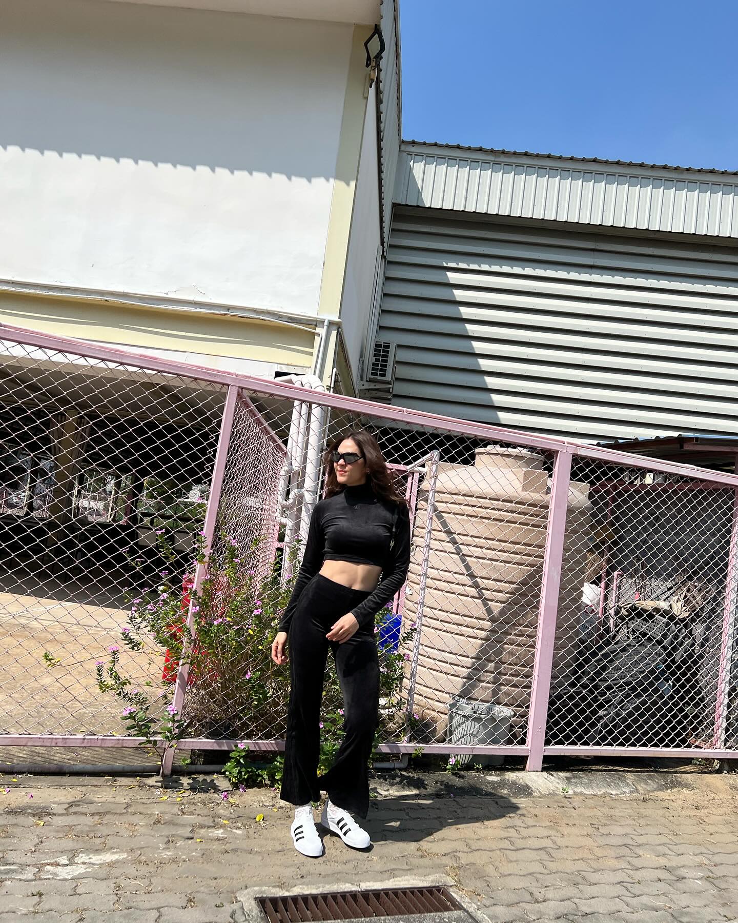 ชมพู่ - อารยา เอ ฮาร์เก็ต