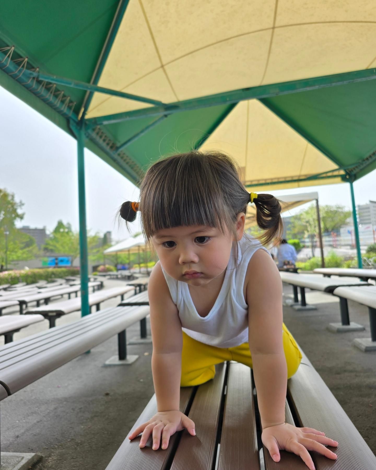 ชมพู่ - อารยา เอ ฮาร์เก็ต