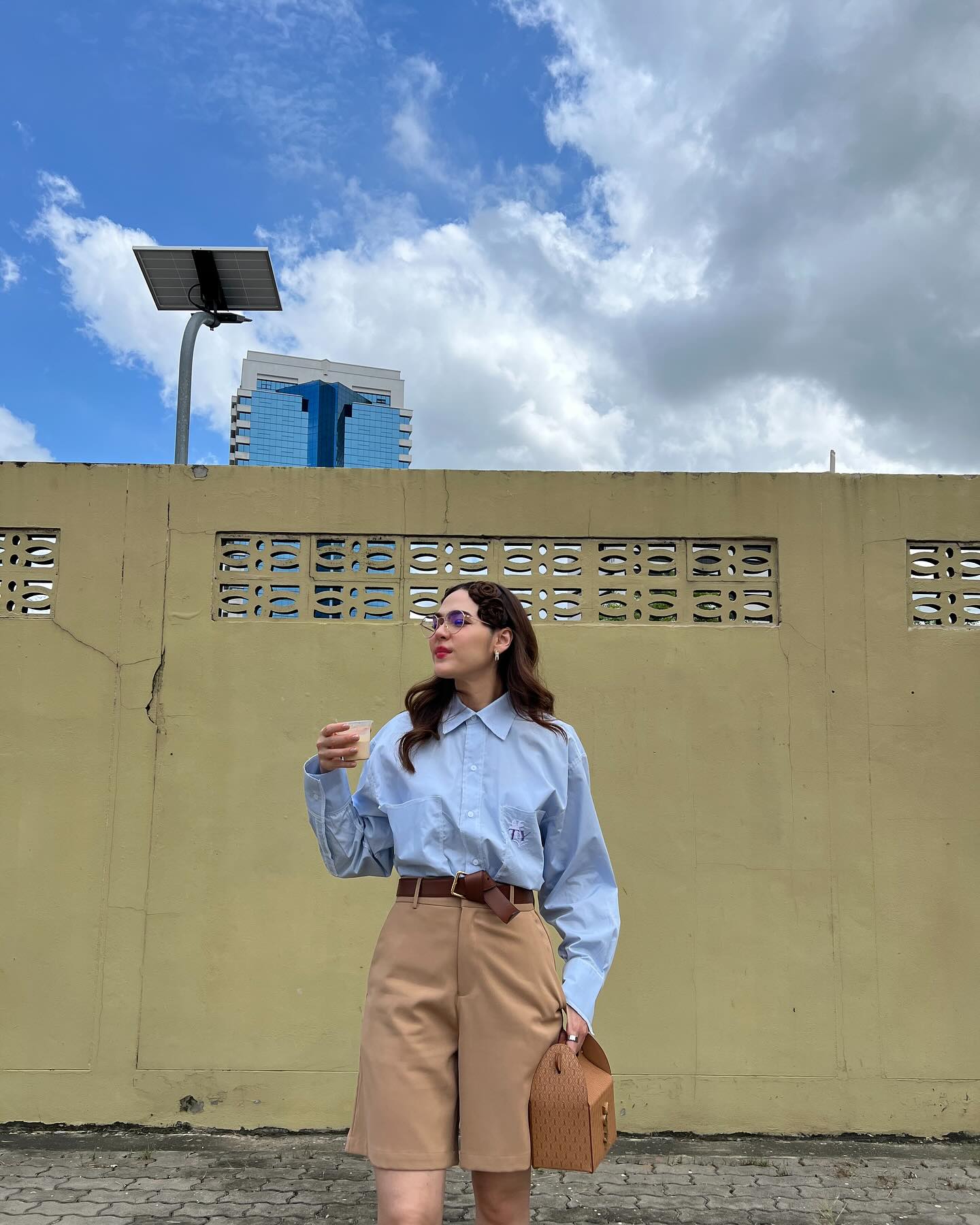 ชมพู่ - อารยา เอ ฮาร์เก็ต