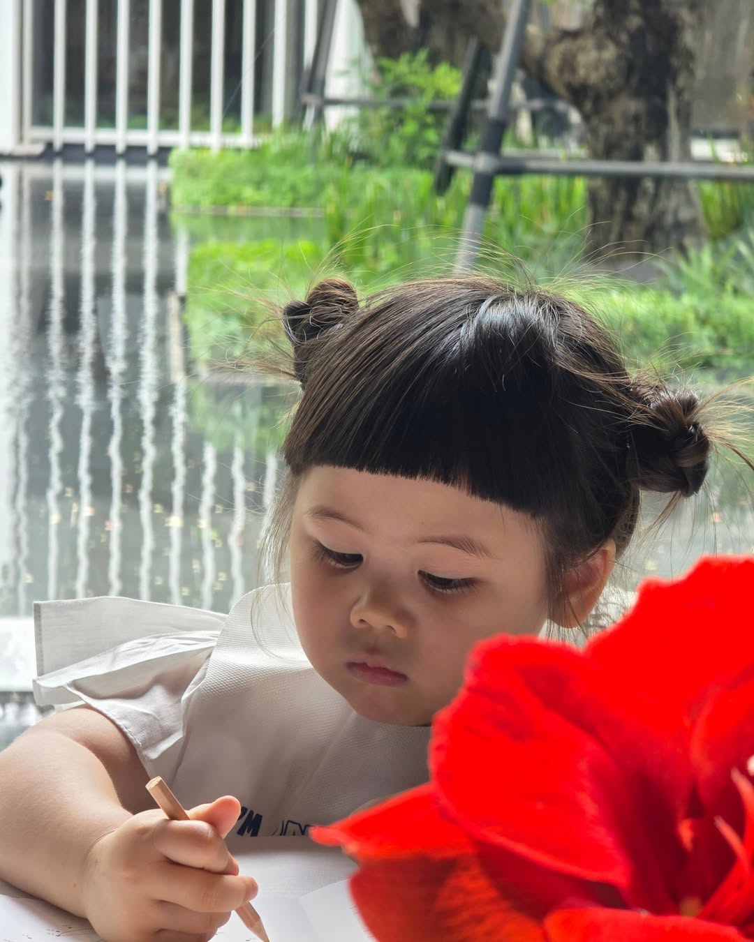 ชมพู่ - อารยา เอ ฮาร์เก็ต