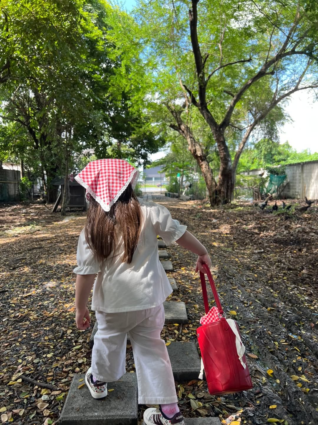 ชมพู่ - อารยา เอ ฮาร์เก็ต