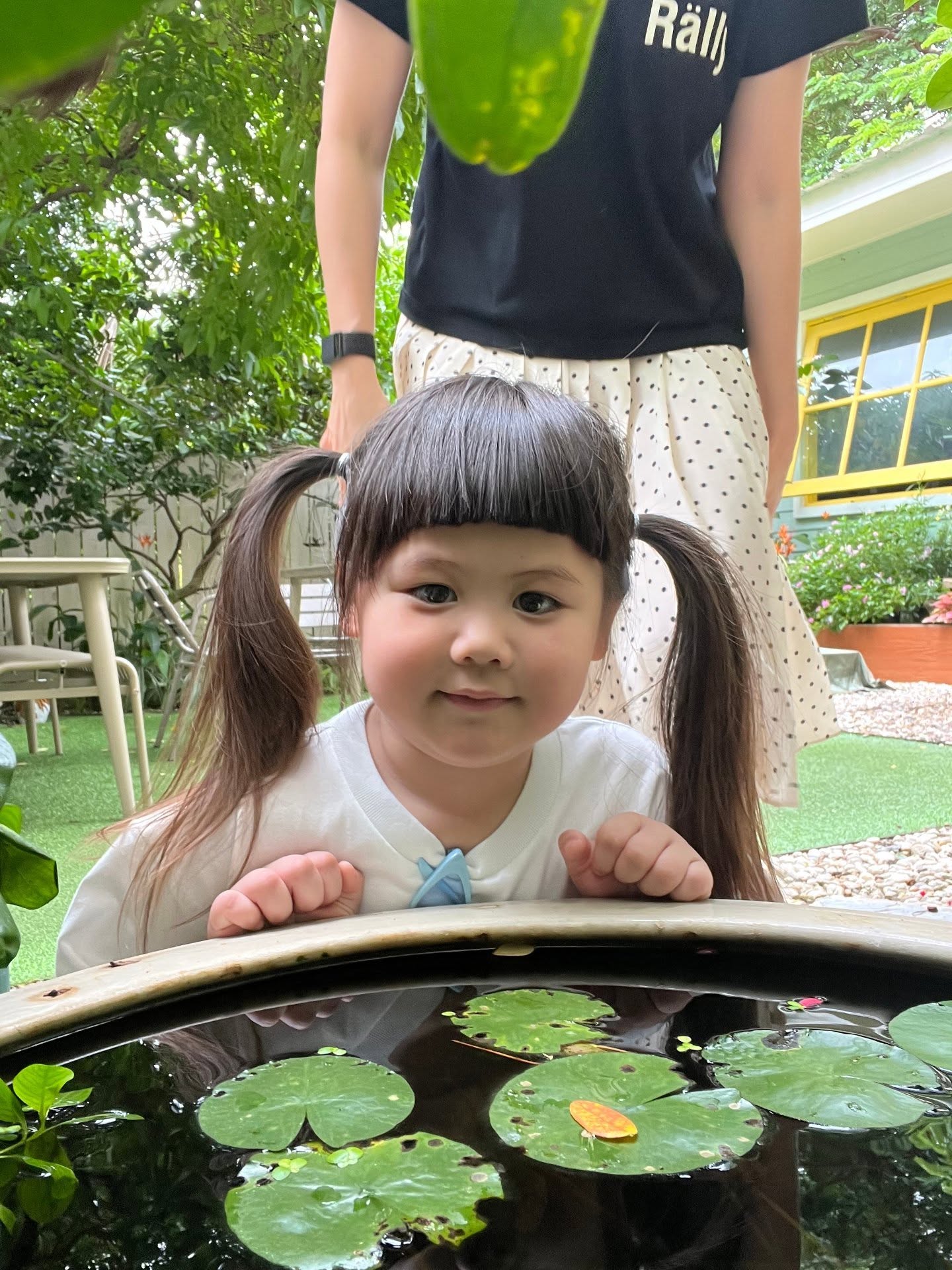 ชมพู่ - อารยา เอ ฮาร์เก็ต