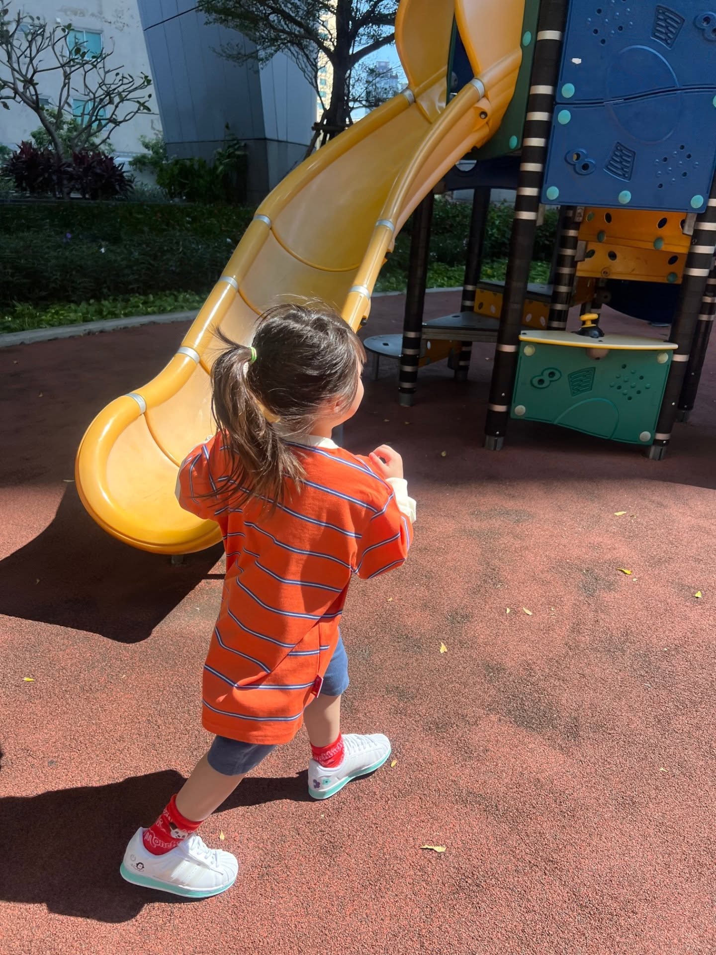 ชมพู่ - อารยา เอ ฮาร์เก็ต