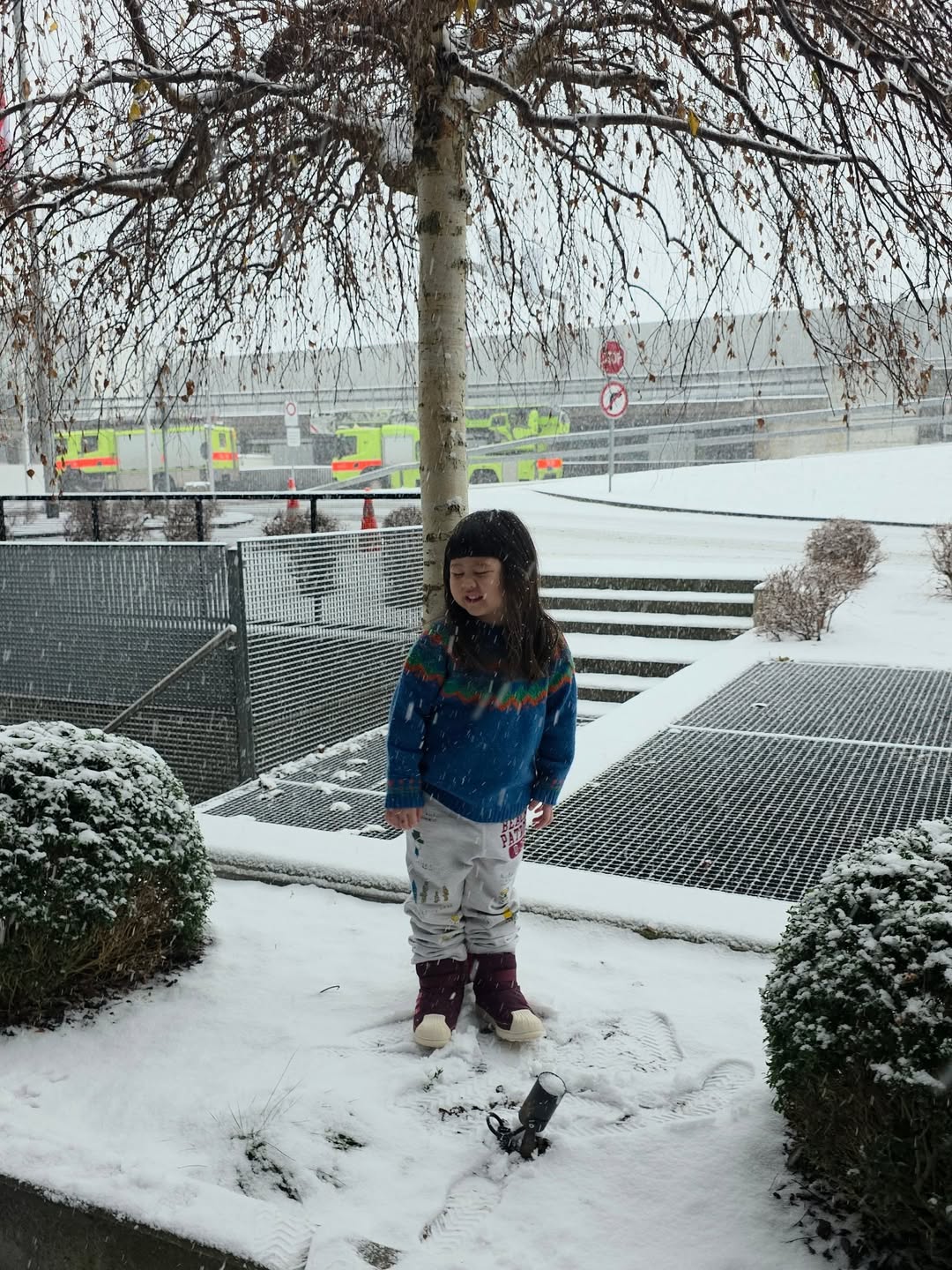 ชมพู่ - อารยา เอ ฮาร์เก็ต