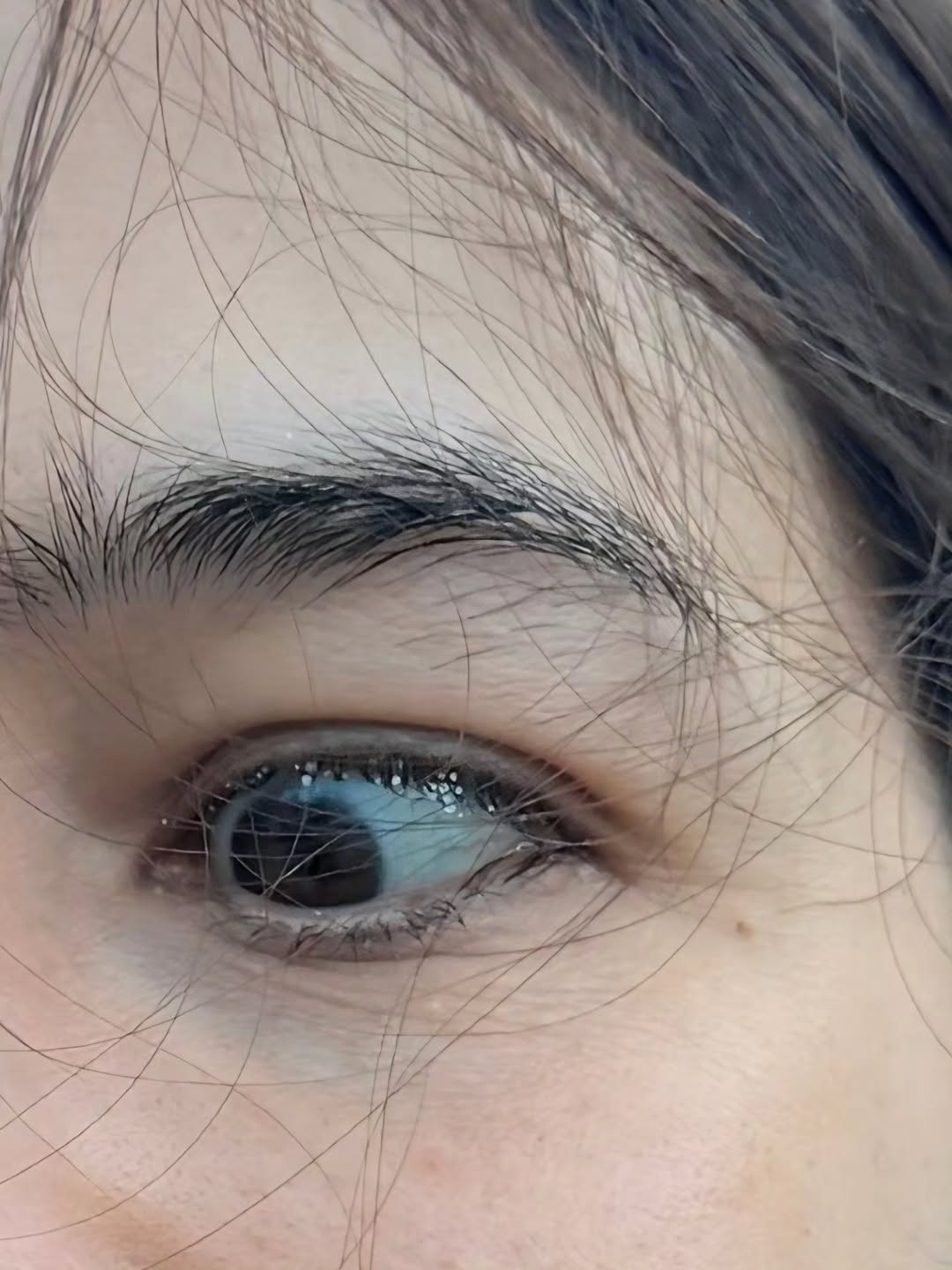 ชมพู่ - อารยา เอ ฮาร์เก็ต