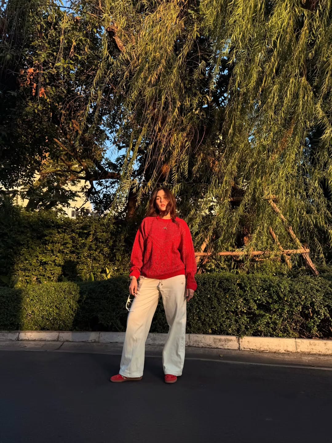 ชมพู่ - อารยา เอ ฮาร์เก็ต