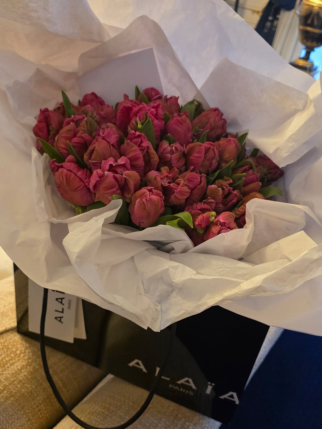 ชมพู่ - อารยา เอ ฮาร์เก็ต