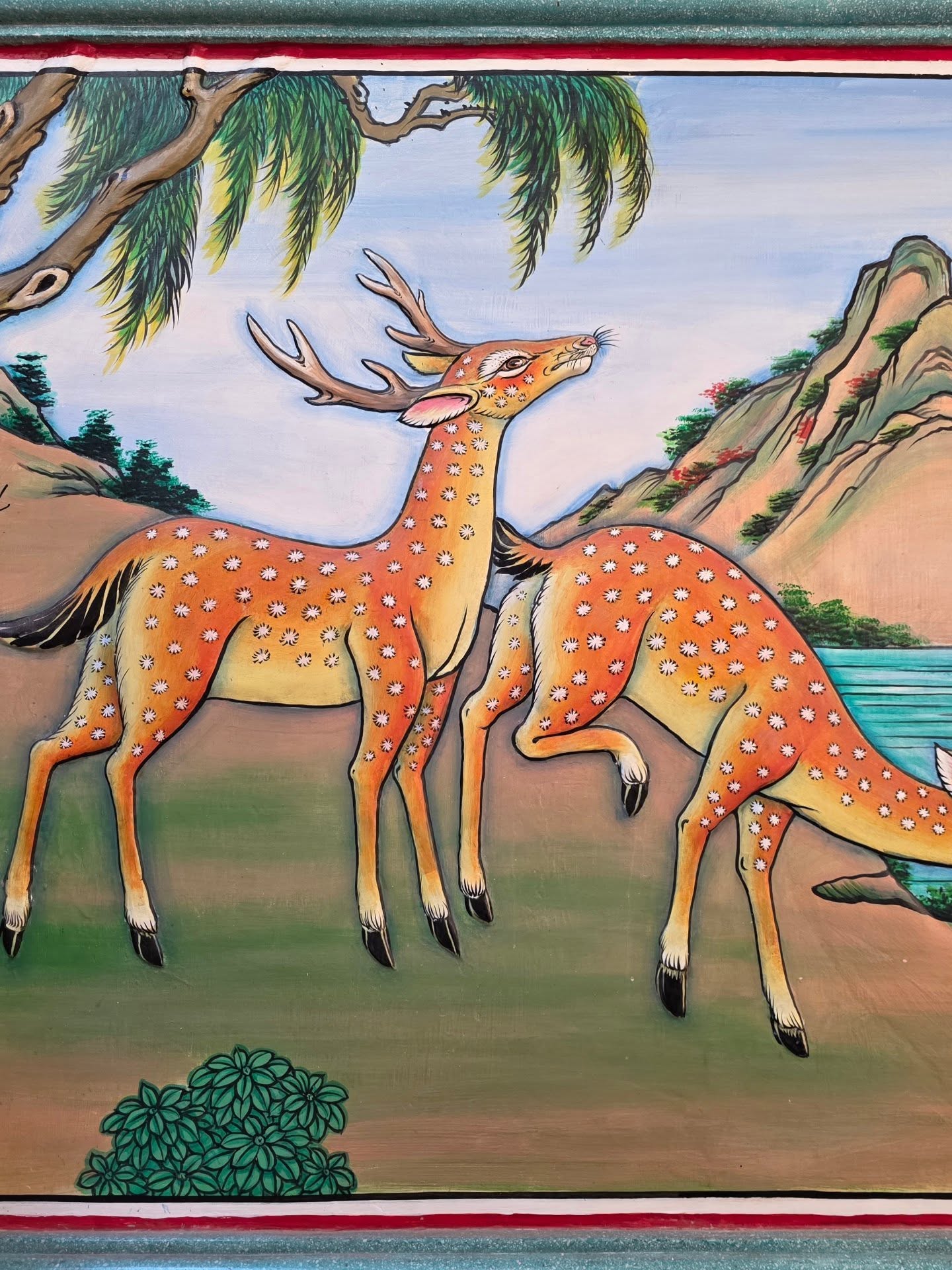 ชมพู่ - อารยา เอ ฮาร์เก็ต