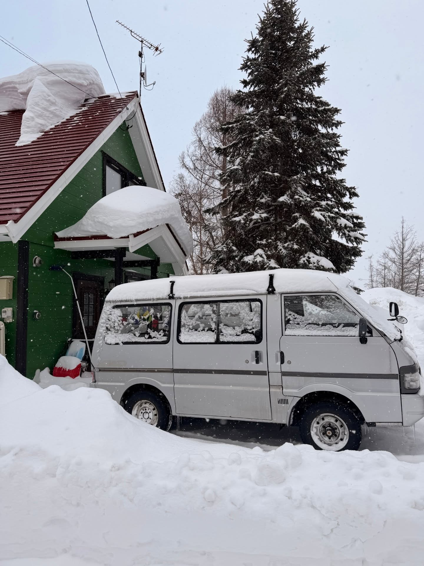 ชมพู่ - อารยา เอ ฮาร์เก็ต