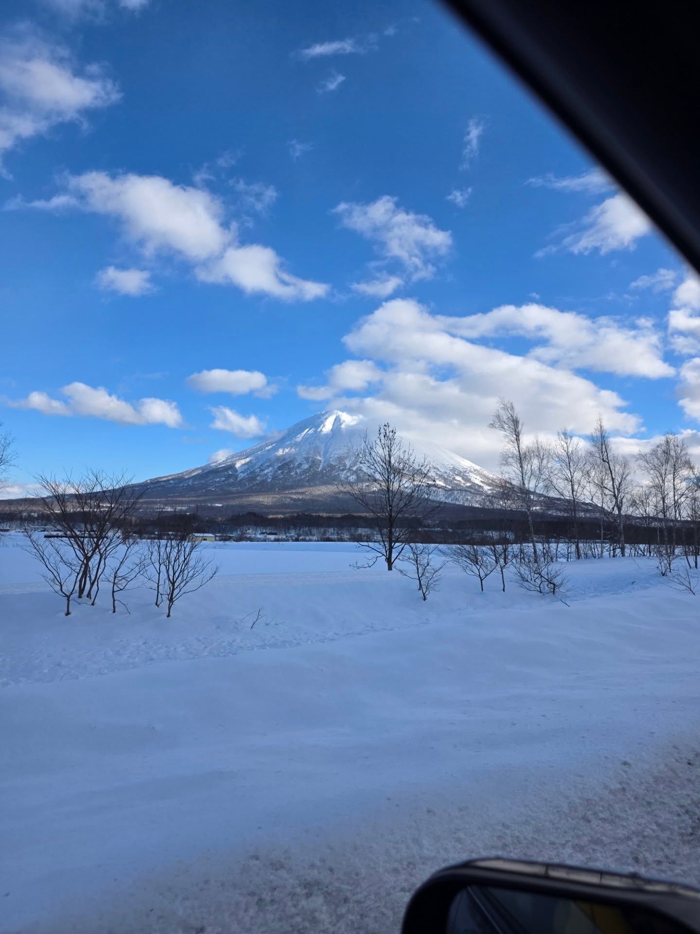 ชมพู่ - อารยา เอ ฮาร์เก็ต