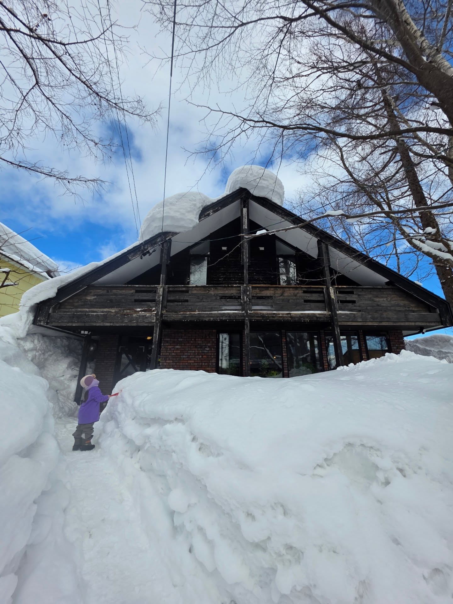 ชมพู่ - อารยา เอ ฮาร์เก็ต