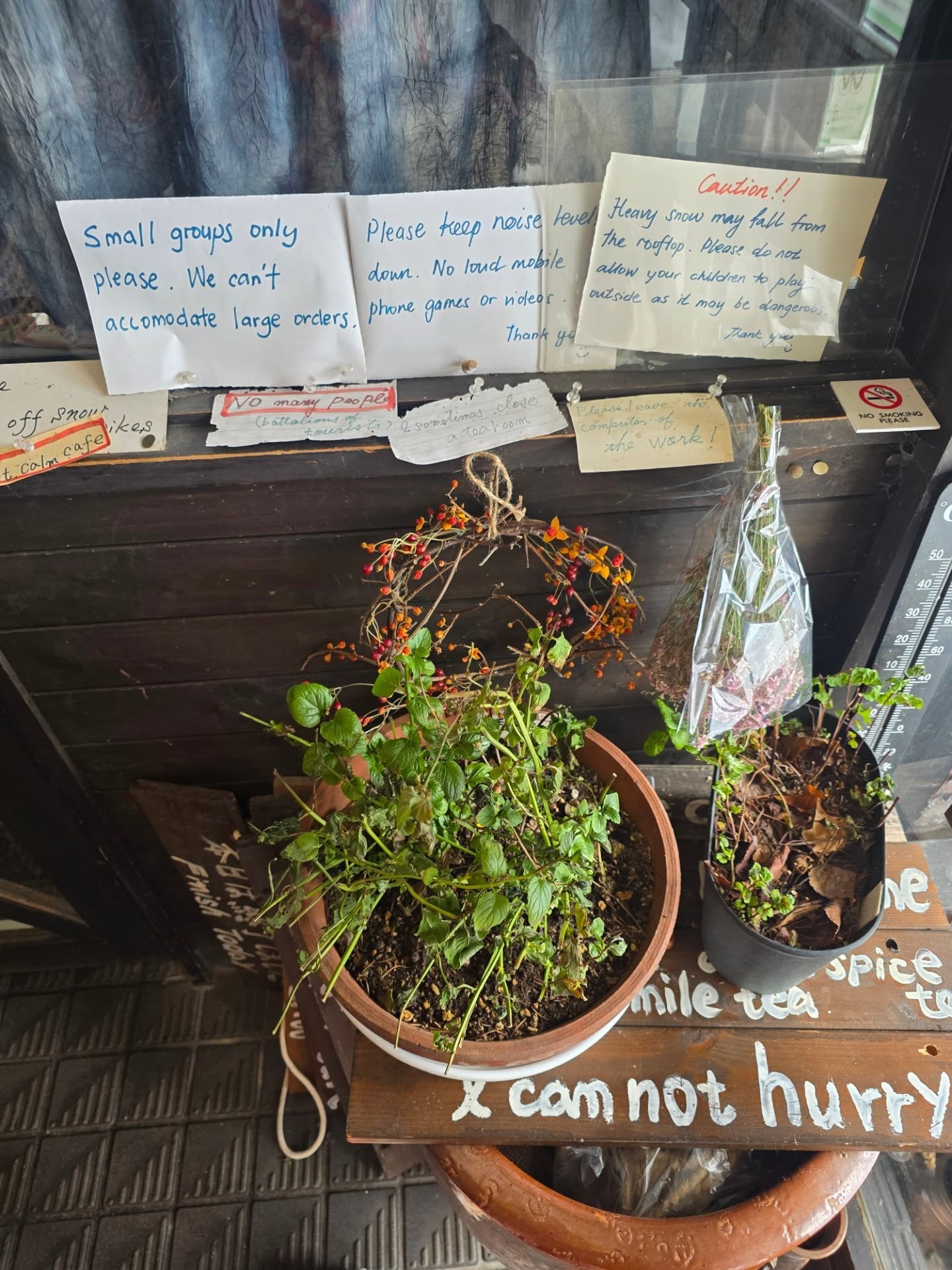 ชมพู่ - อารยา เอ ฮาร์เก็ต