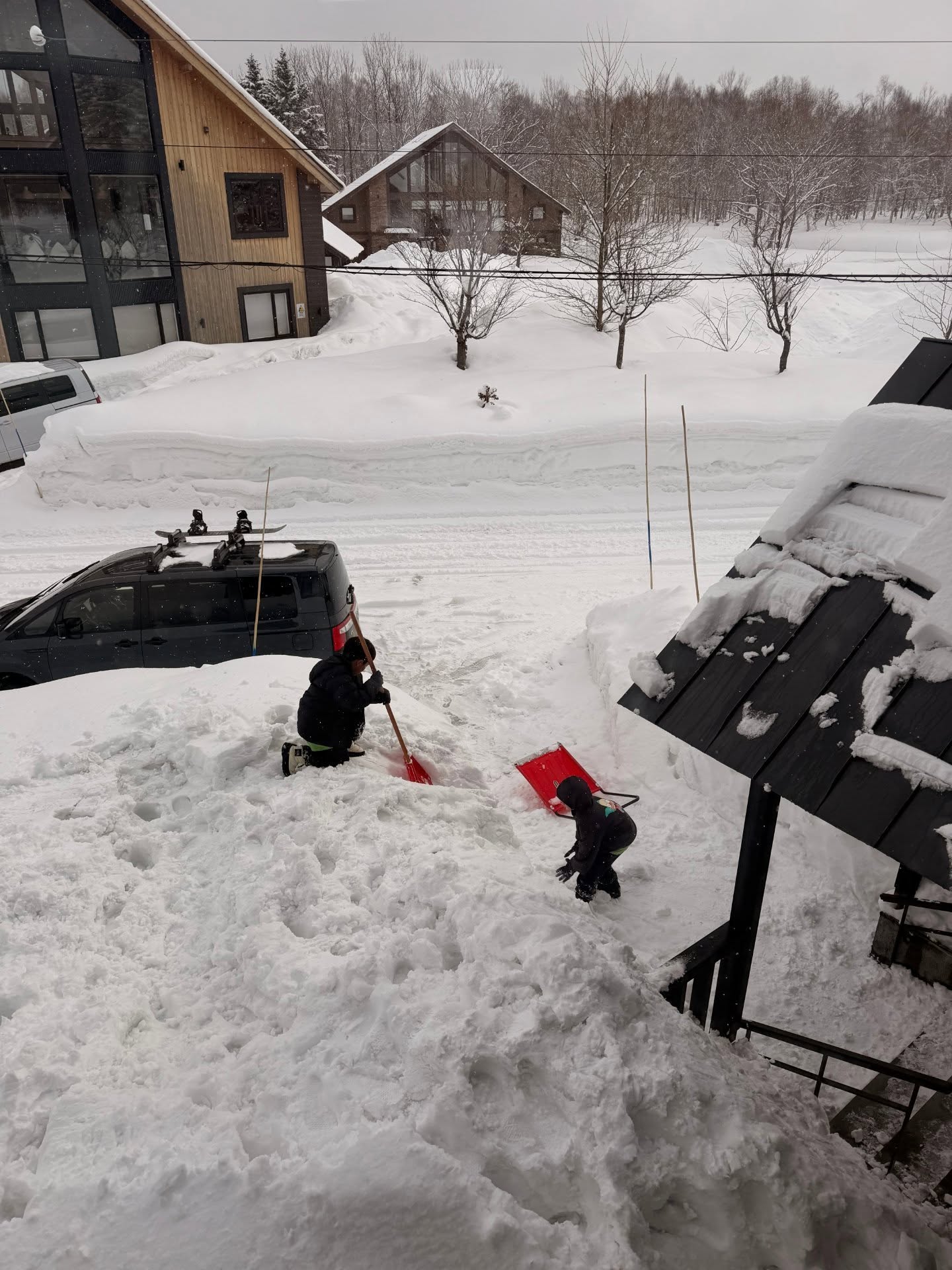 ชมพู่ - อารยา เอ ฮาร์เก็ต