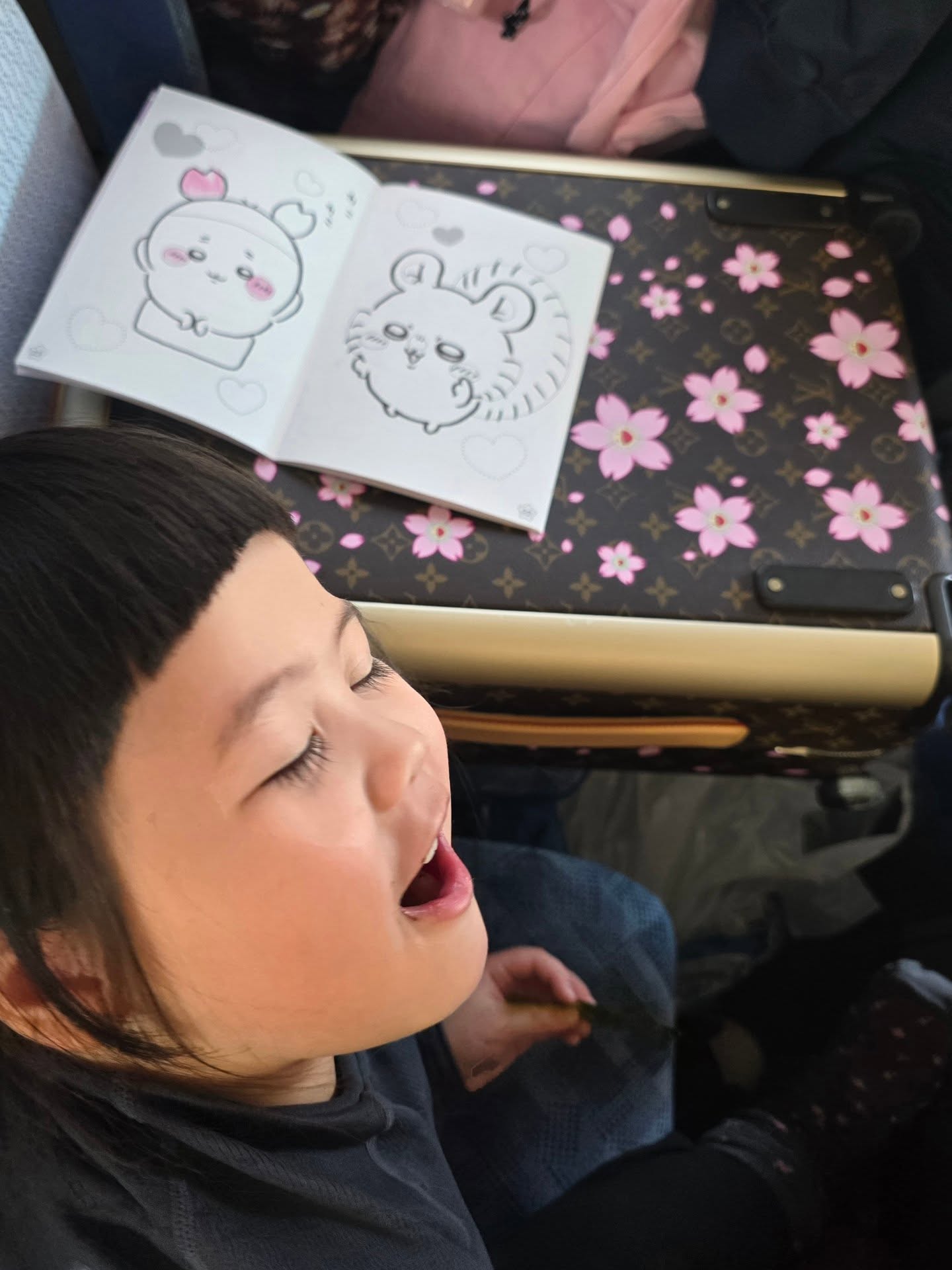 ชมพู่ - อารยา เอ ฮาร์เก็ต