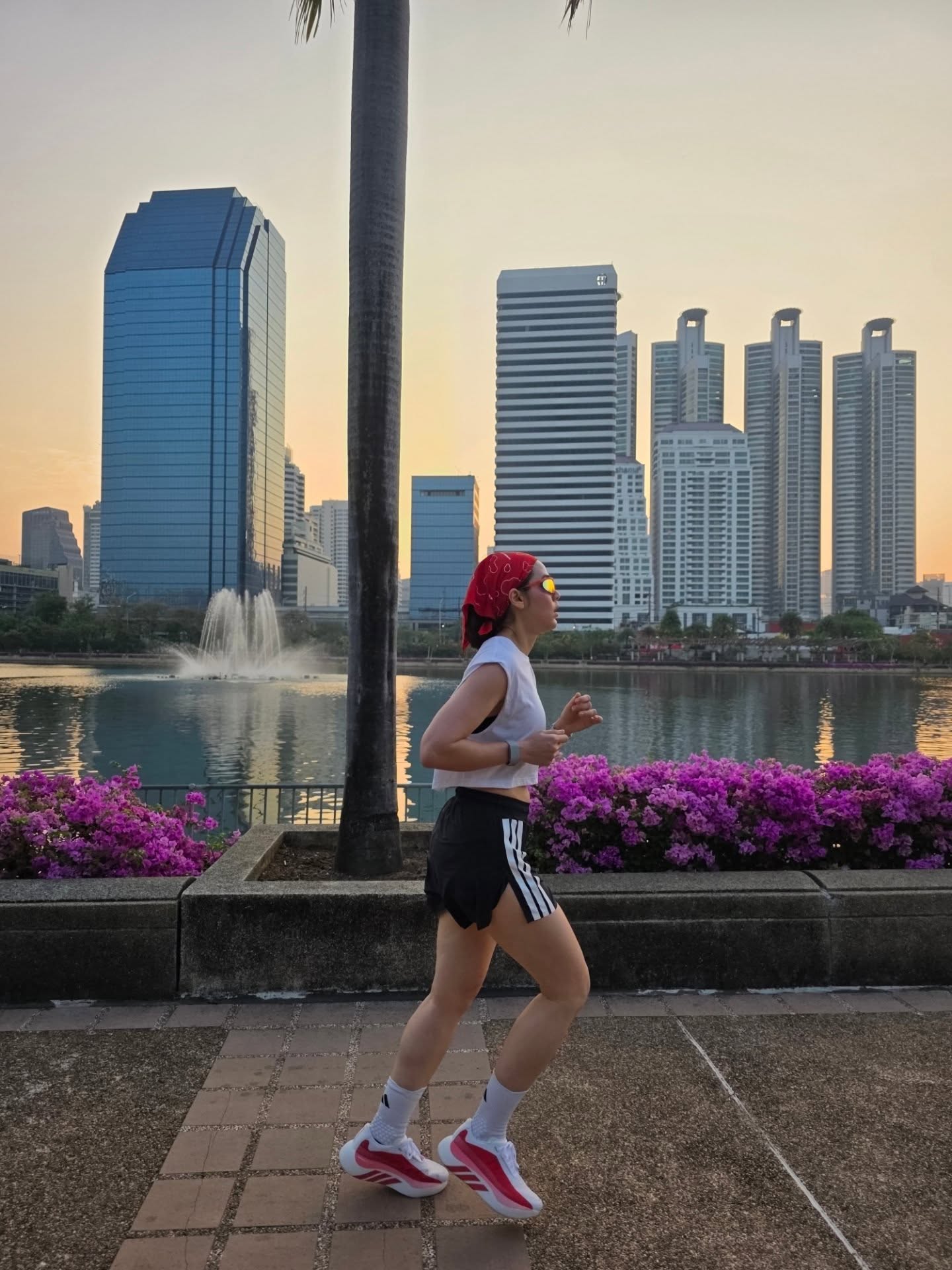 ชมพู่ - อารยา เอ ฮาร์เก็ต