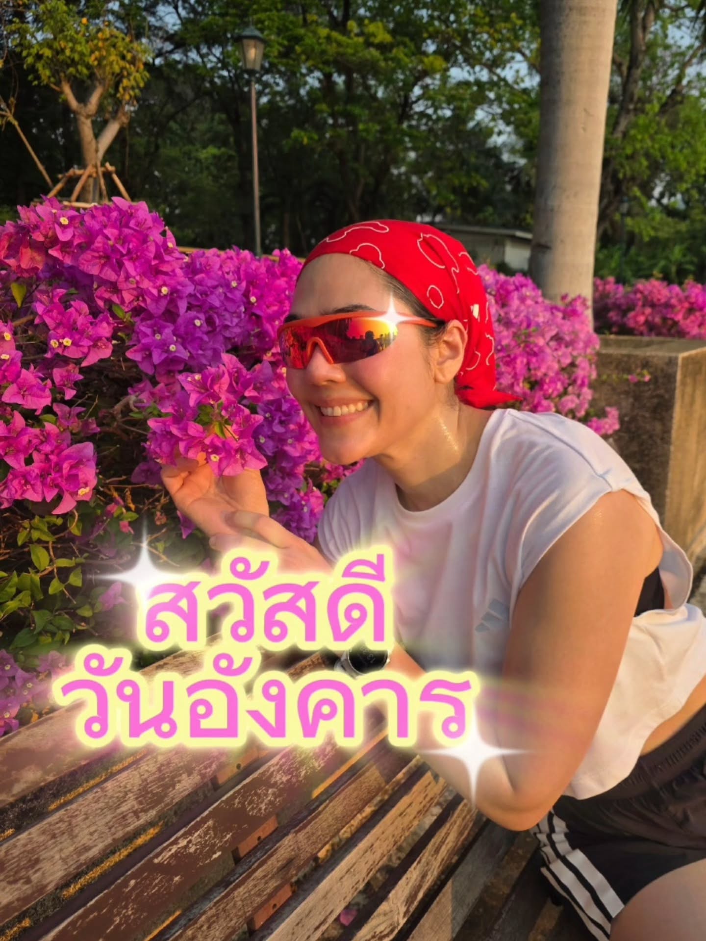 ชมพู่ - อารยา เอ ฮาร์เก็ต
