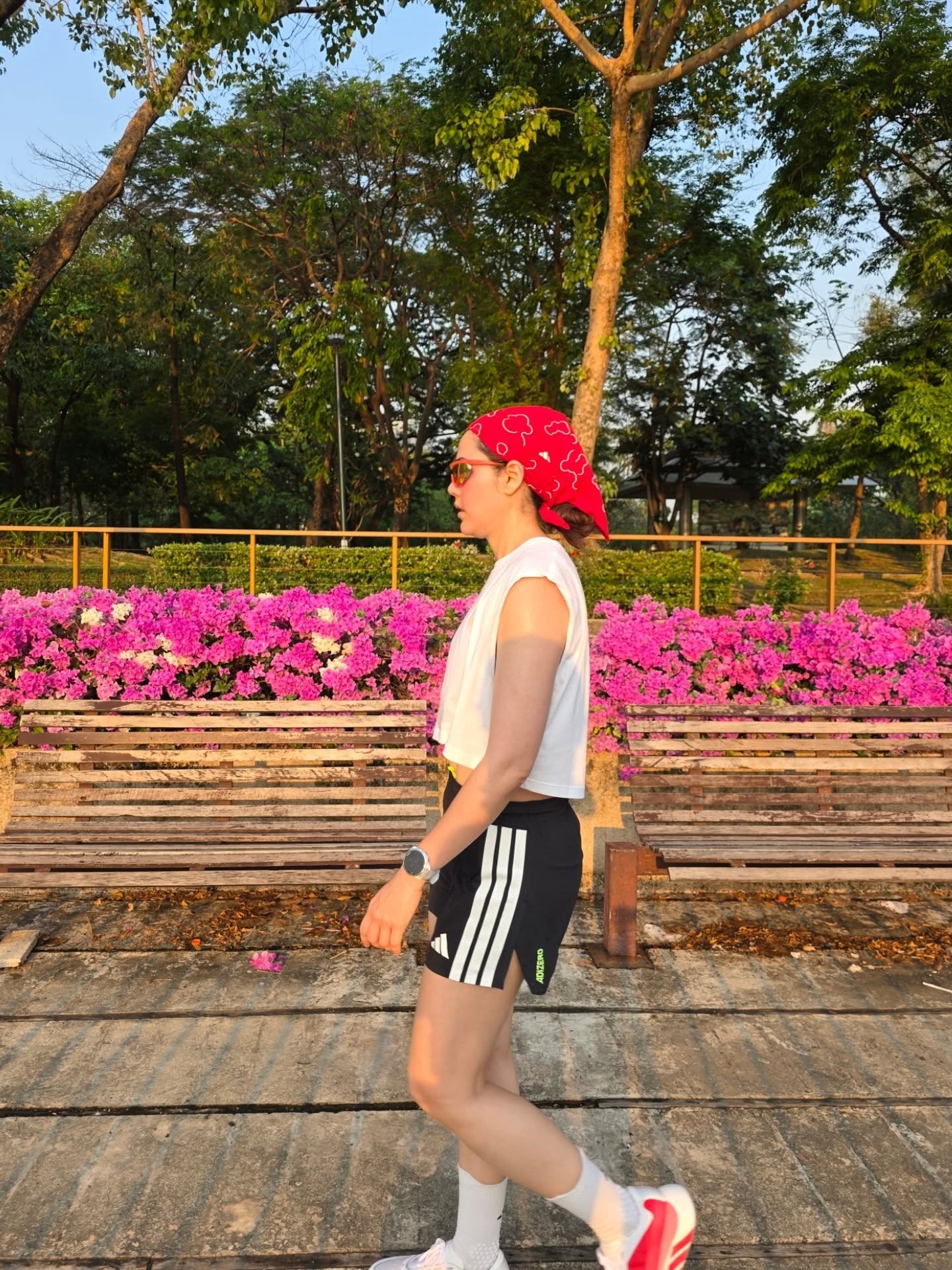 ชมพู่ - อารยา เอ ฮาร์เก็ต