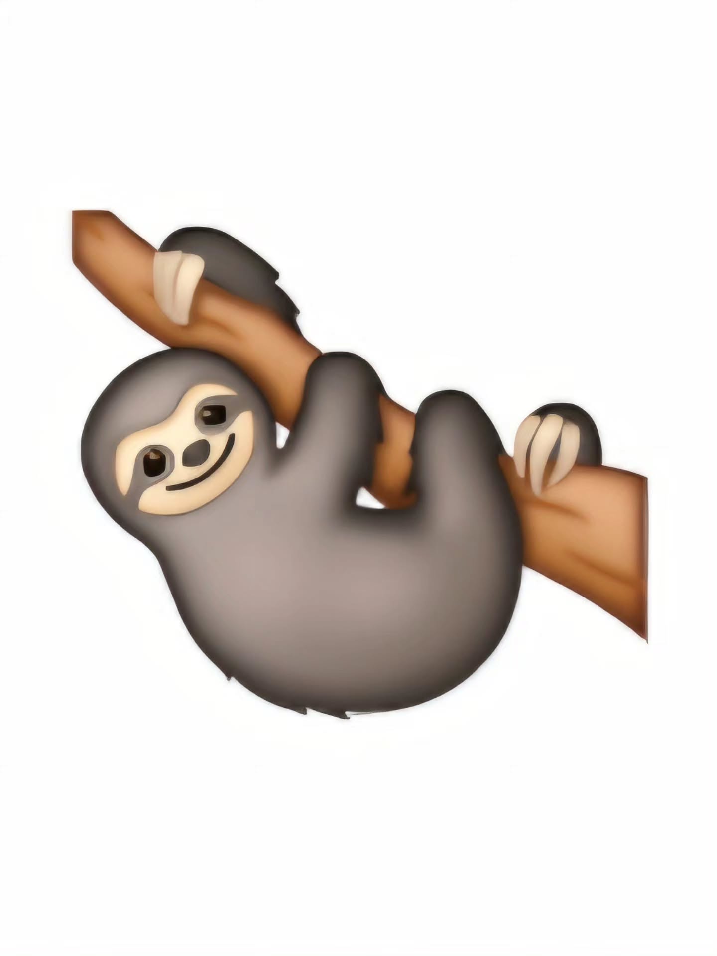 ชมพู่ - อารยา เอ ฮาร์เก็ต