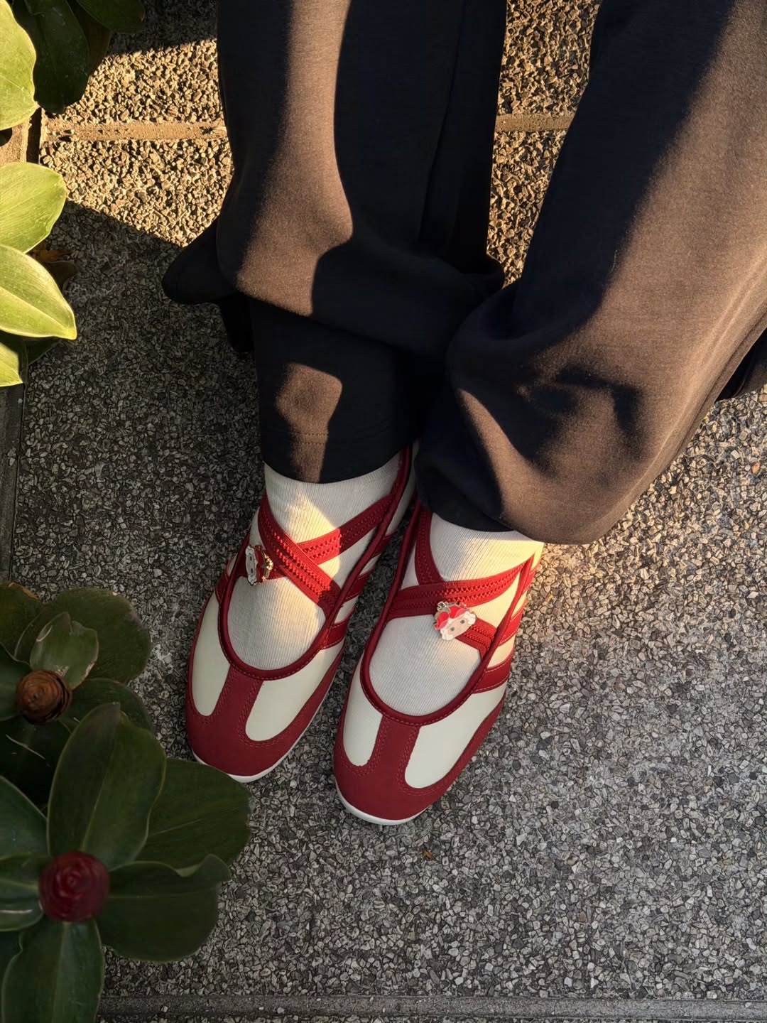 ชมพู่ - อารยา เอ ฮาร์เก็ต