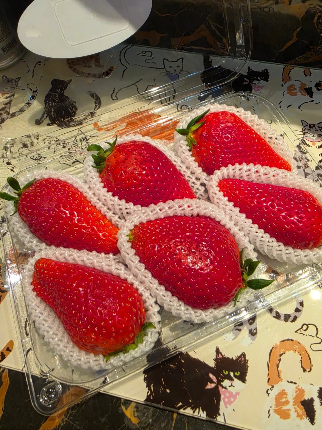 ชมพู่ - อารยา เอ ฮาร์เก็ต