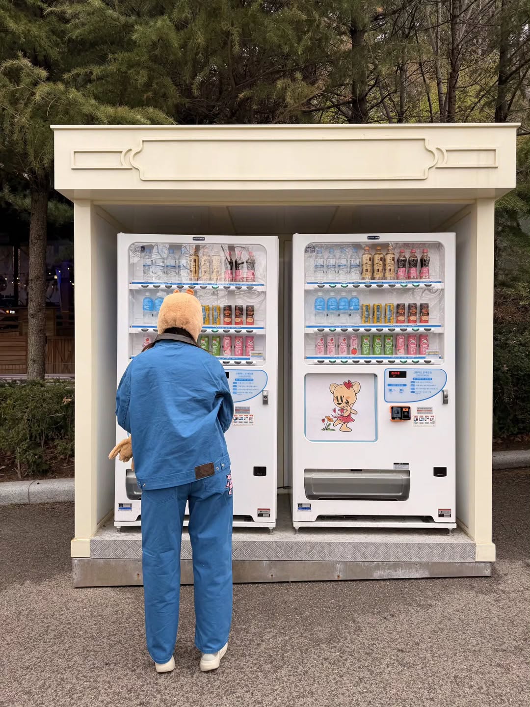 ชมพู่ - อารยา เอ ฮาร์เก็ต