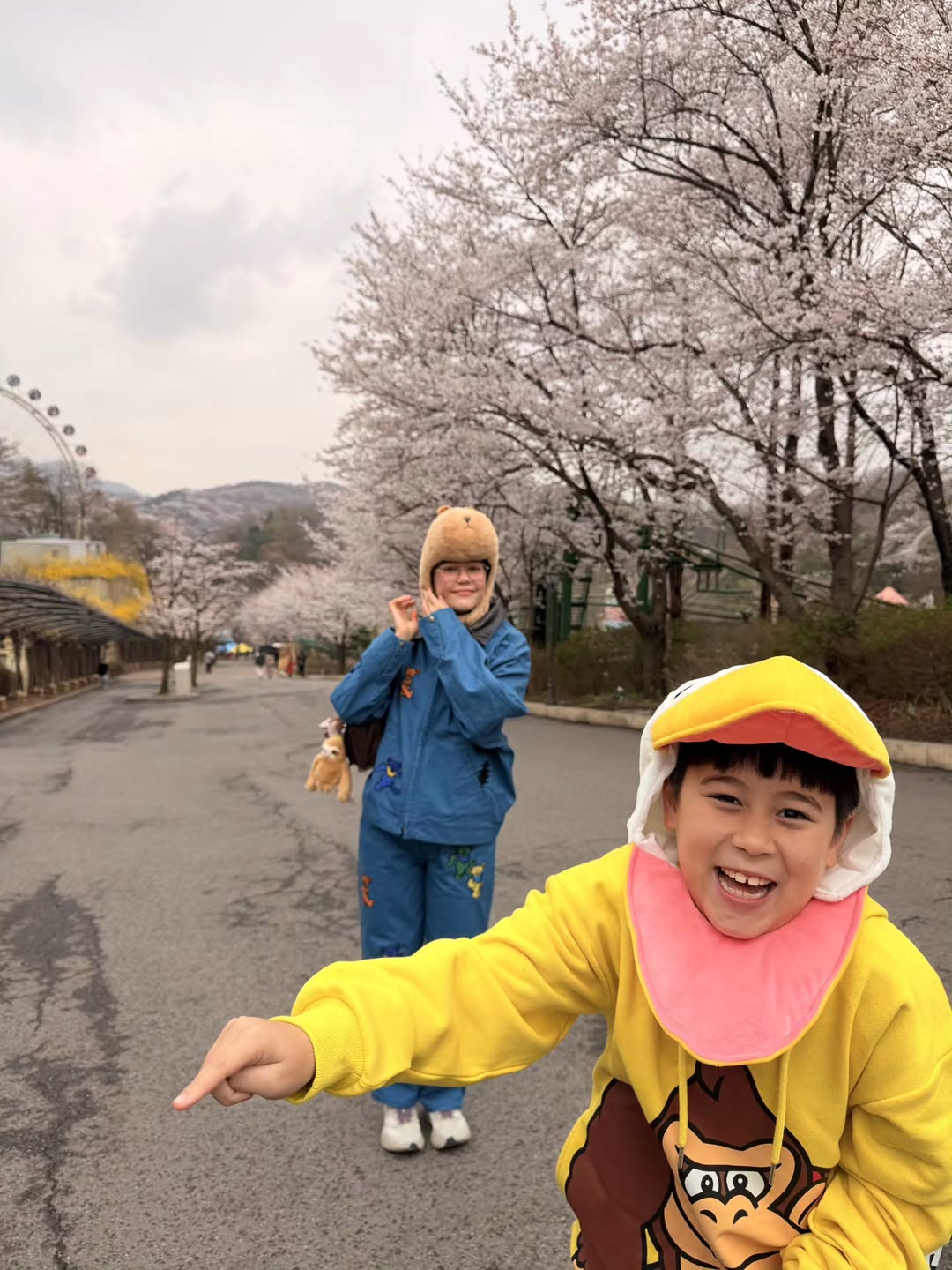 ชมพู่ - อารยา เอ ฮาร์เก็ต