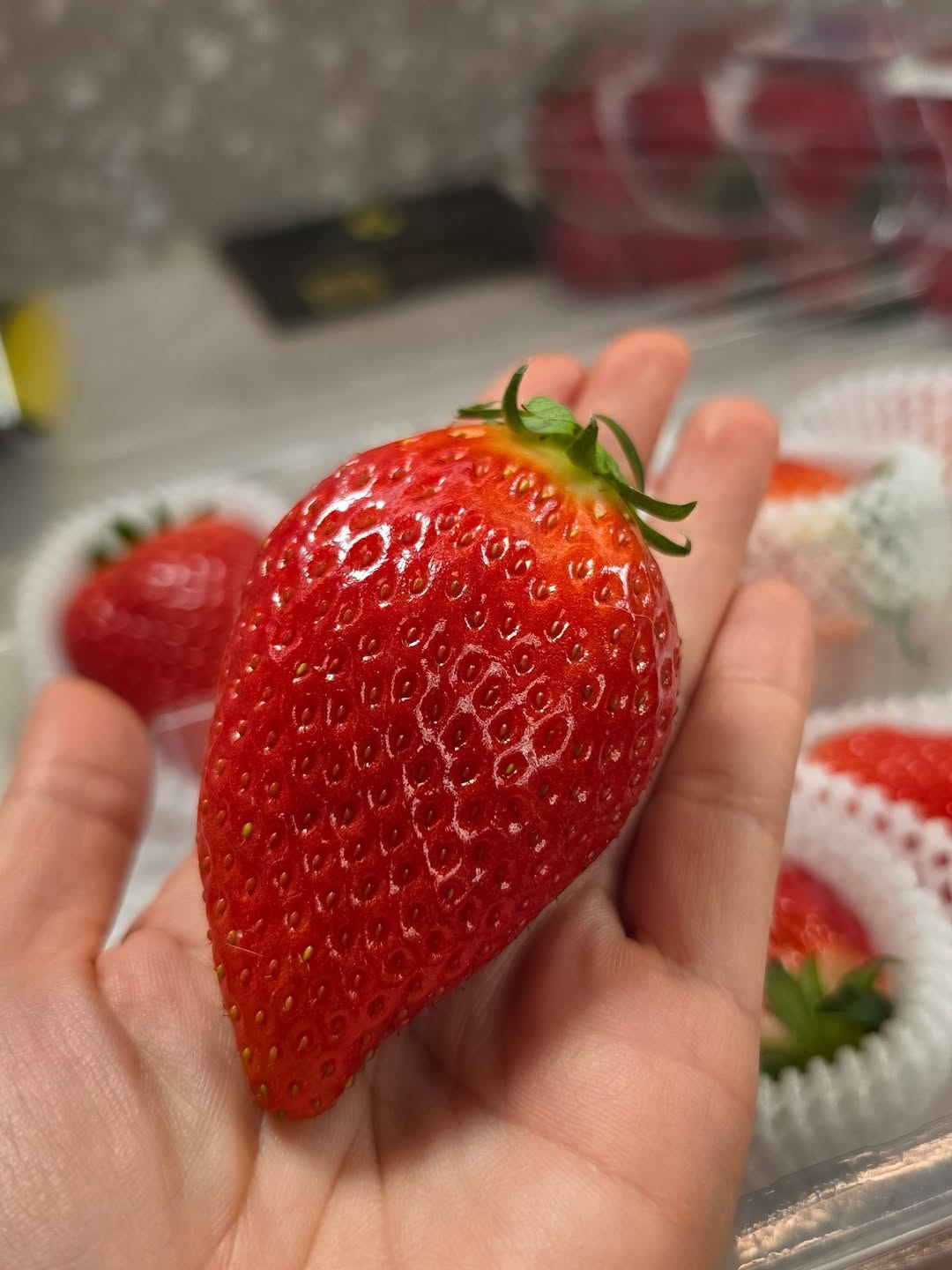 ชมพู่ - อารยา เอ ฮาร์เก็ต