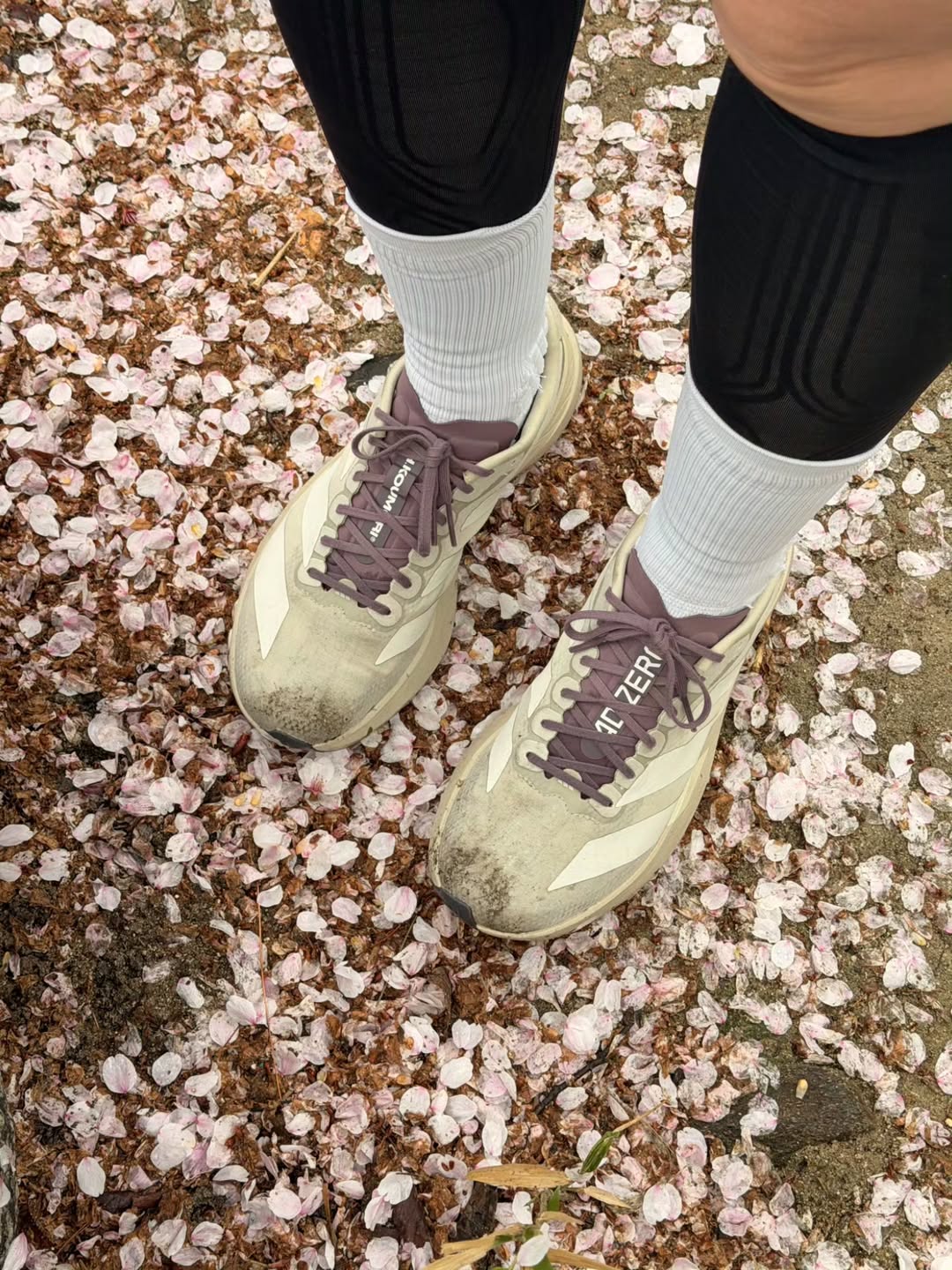 ชมพู่ - อารยา เอ ฮาร์เก็ต