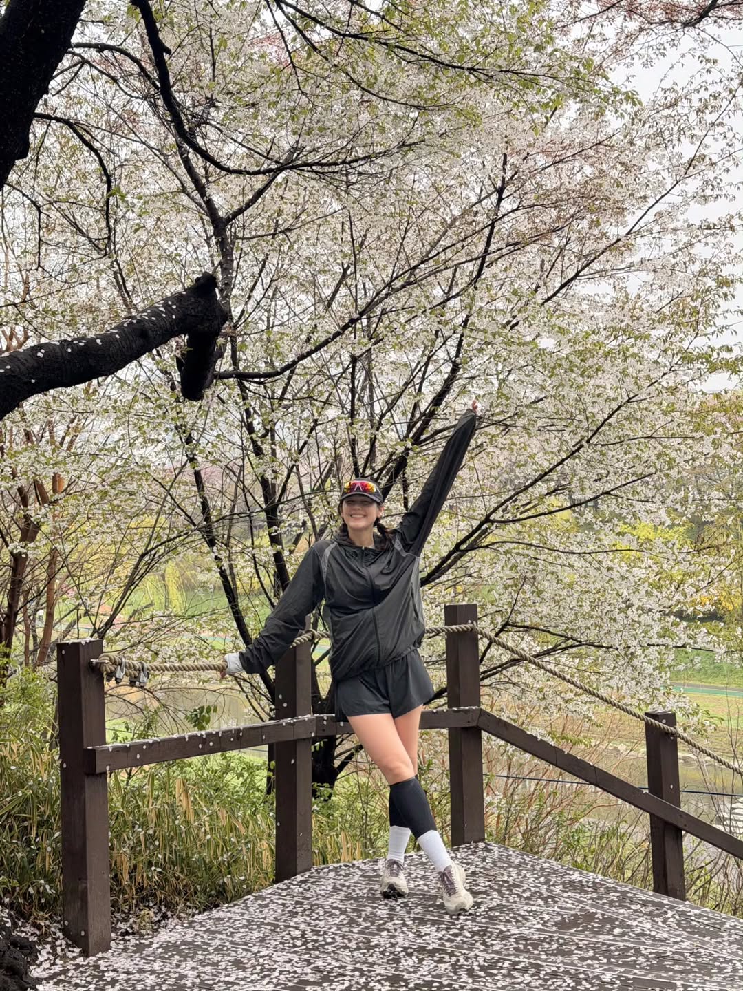 ชมพู่ - อารยา เอ ฮาร์เก็ต