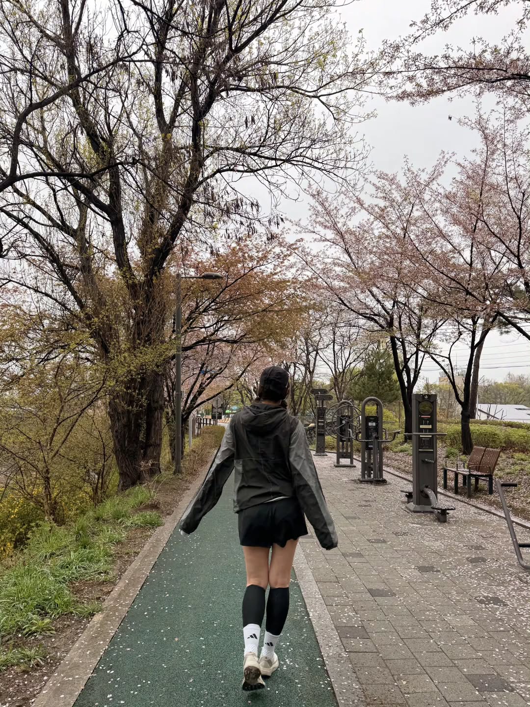 ชมพู่ - อารยา เอ ฮาร์เก็ต