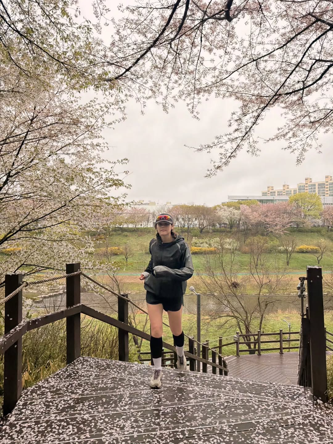 ชมพู่ - อารยา เอ ฮาร์เก็ต